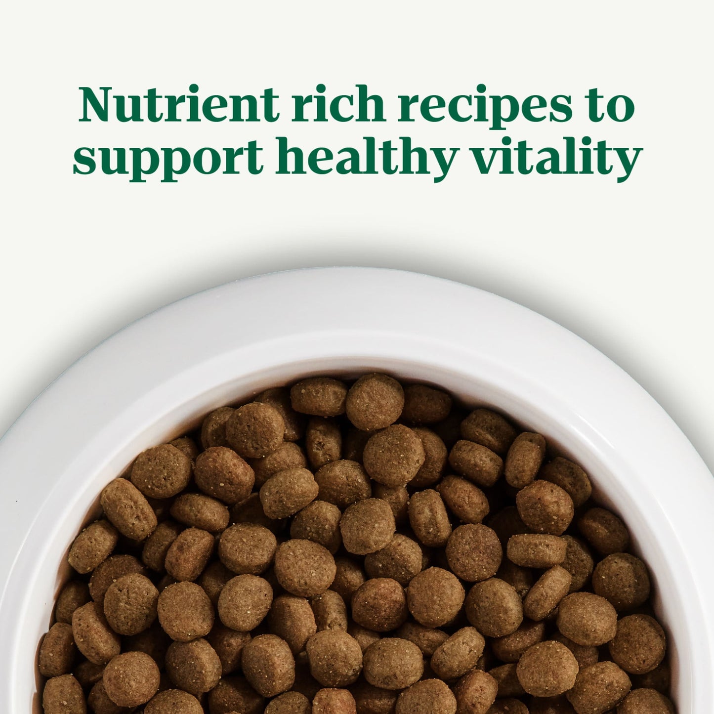 Nutro Natural Choice Adult Dry Dog Food, Lamb And Brown Rice Recipe, 36 Lbs.