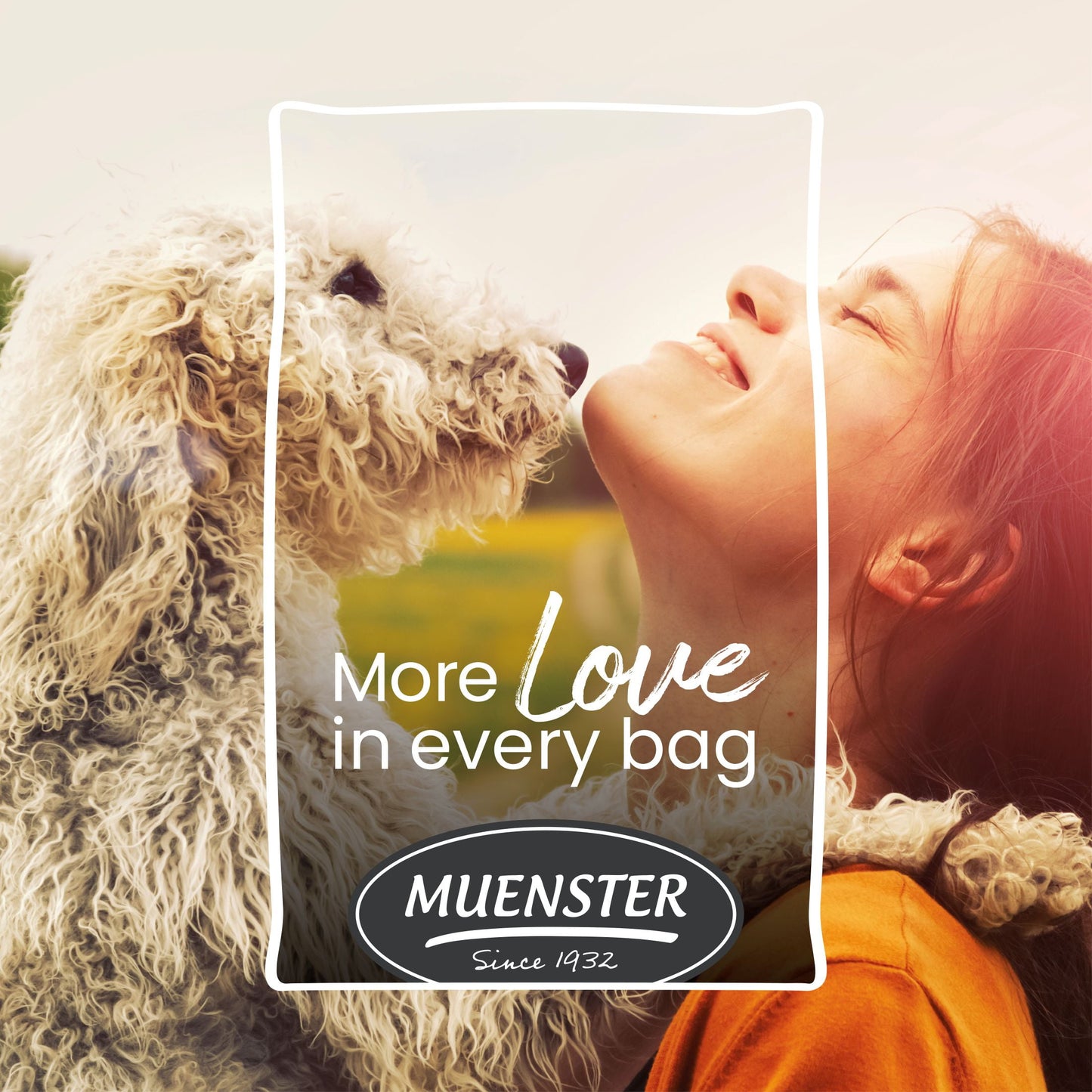 Muenster Ancient Grains With Ocean Fish Dog Food, All Life Stages, 4 lb Bag