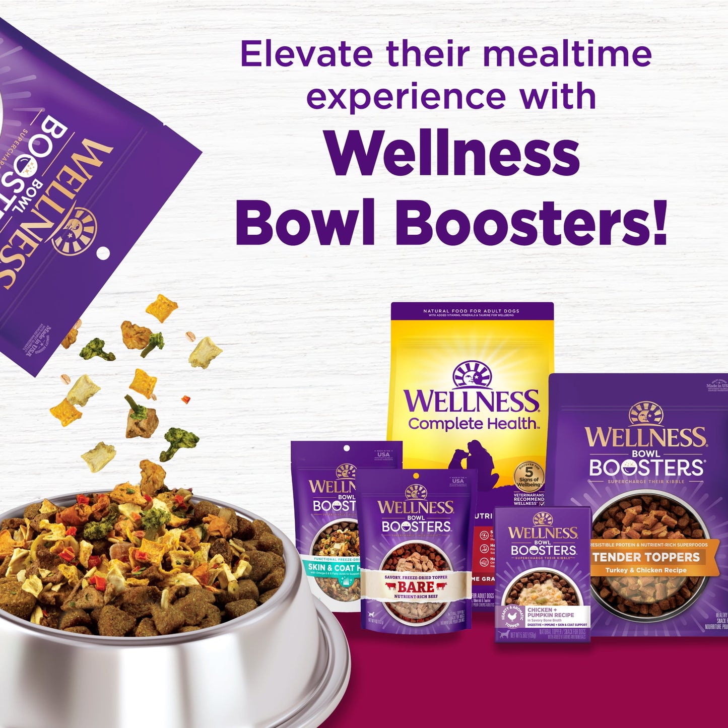 Wellness Complete Health Natural Small Breed Dry Dog Food, Turkey & Oatmeal, 12-Pound Bag