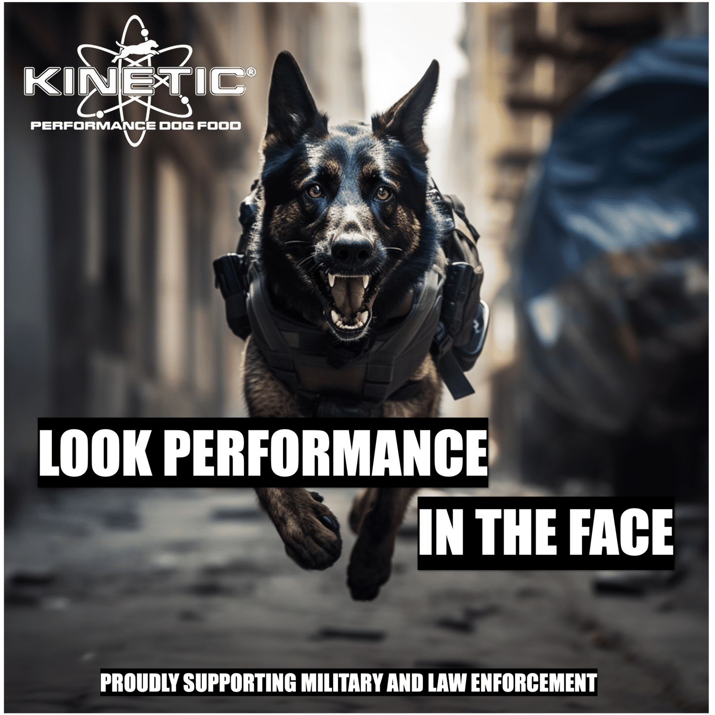 43903-Vital 24K Kinetic Dog food 35 lb.