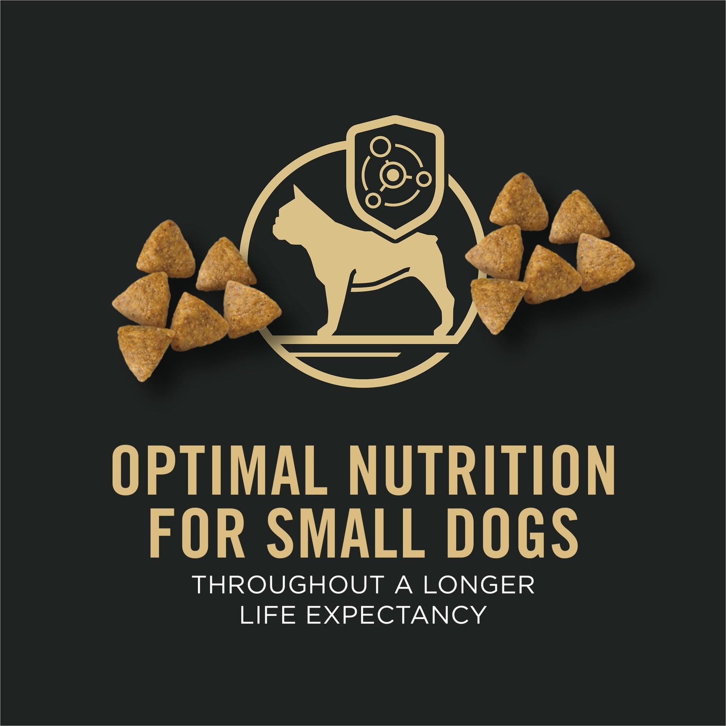 Purina Pro Plan High Protein Small Breed Dog Food, Chicken & Rice Formula, 6 lb. Bag