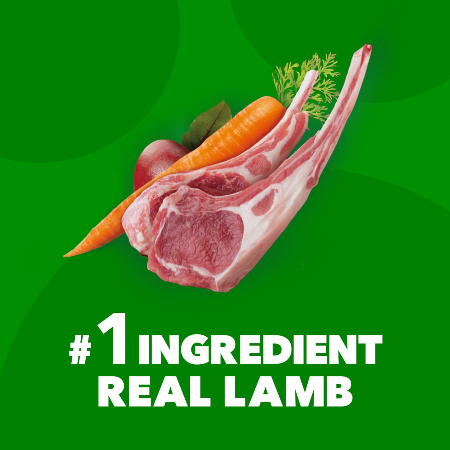 Iams Proactive Health Minichunks Dry Dog Food With Real Lamb & Rice, 7 Lb. Bag