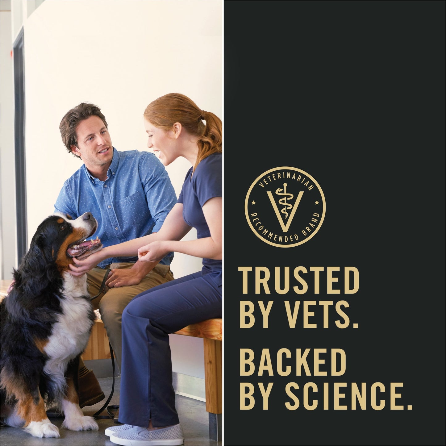 Purina Pro Plan Sport Performance 30/20 High Protein Dry Dog Food, Turkey, Duck, Quail Recipe