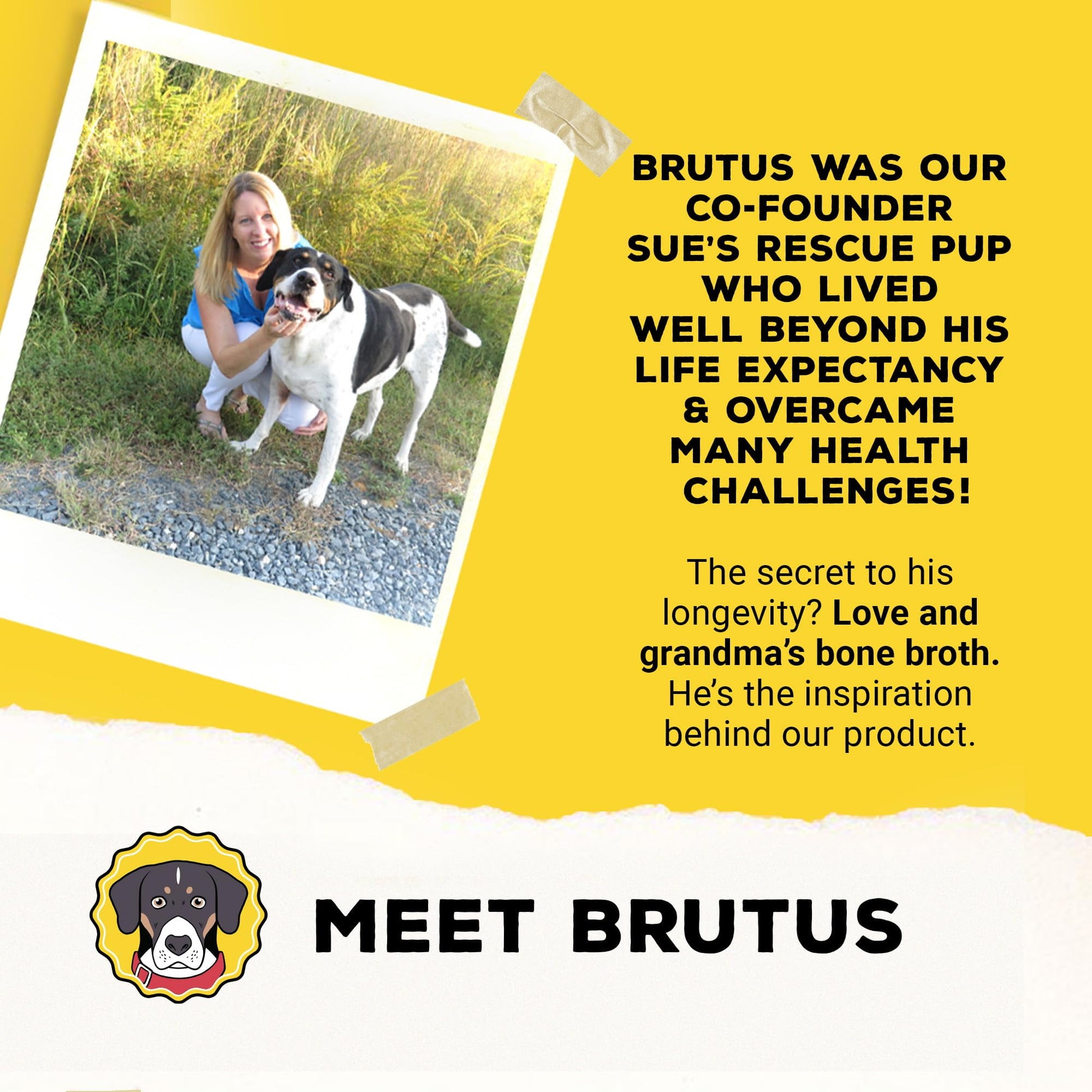 Brutus Broth Instant On The Go Powder for Dogs with Chondroitin Glucosamine & Turmeric - Pet Food Topper - Human Grade Dog Food Toppers for Dry Food & Picky Eaters - 5 Stick (Beef)