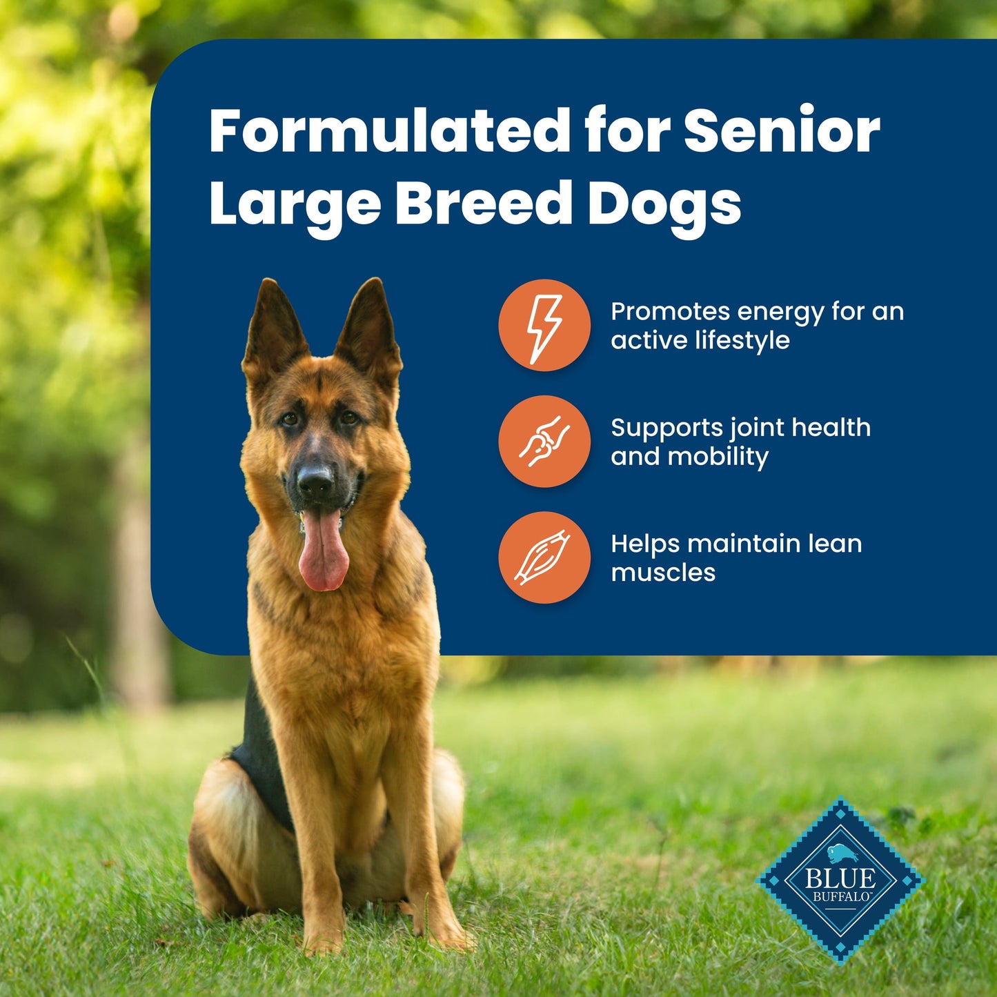 Blue Buffalo Life Protection Formula Large Breed Senior Dog Food, Chicken & Rice, 30 lbs.