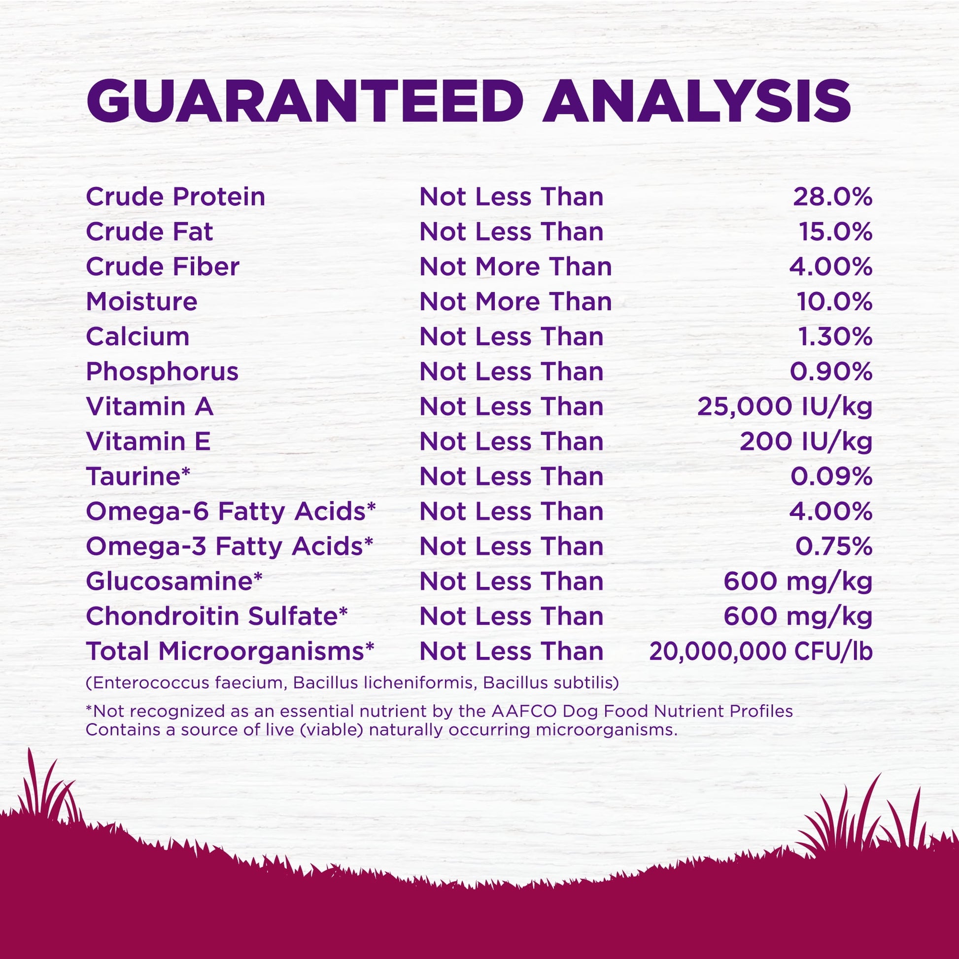 Wellness Complete Health Natural Small Breed Dry Dog Food, Turkey & Oatmeal, 12-Pound Bag