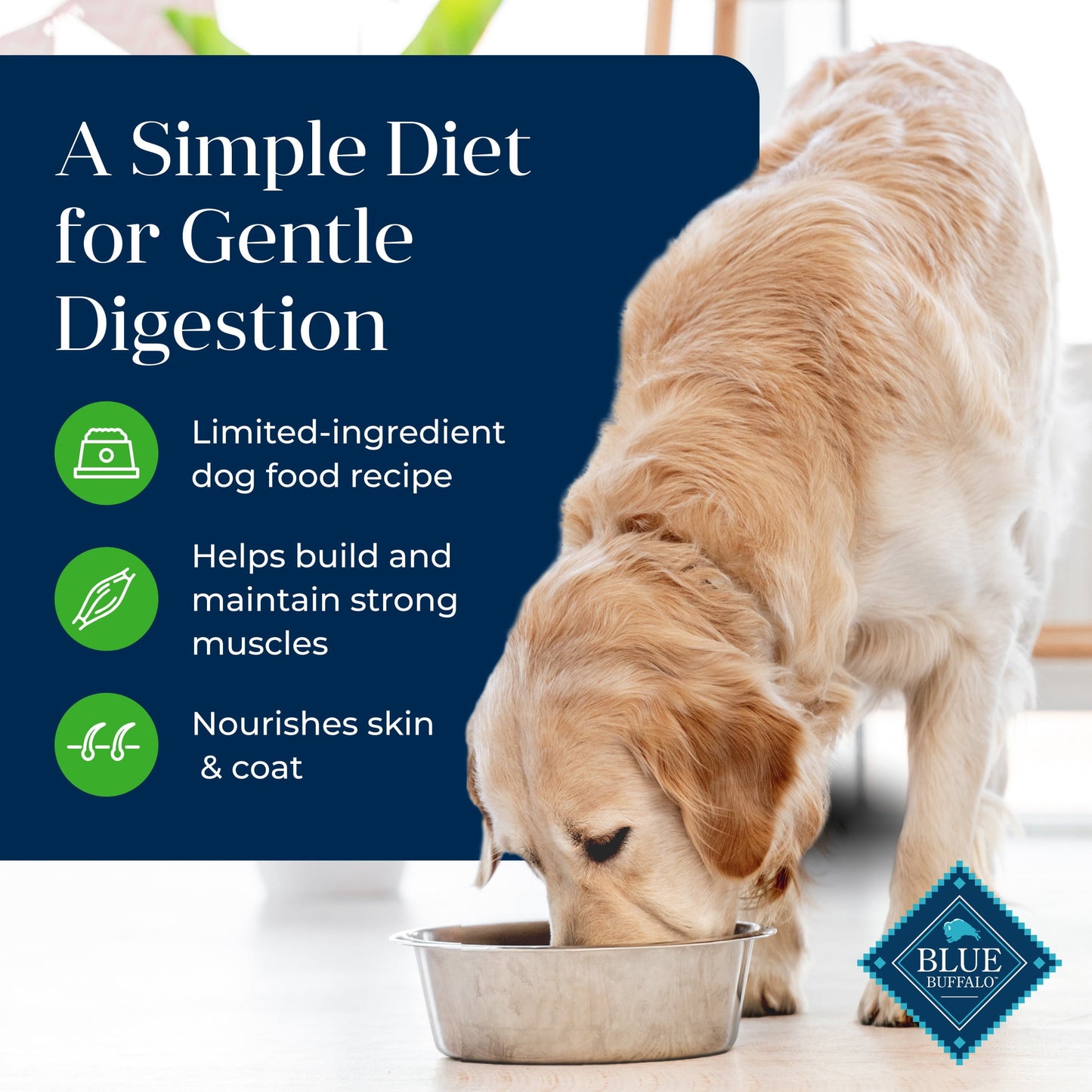 Blue Buffalo Basics Grain-Free Adult Dry Dog Food, Skin & Stomach Care, Limited Ingredient Diet for Dogs, Lamb Recipe, 11-lb Bag
