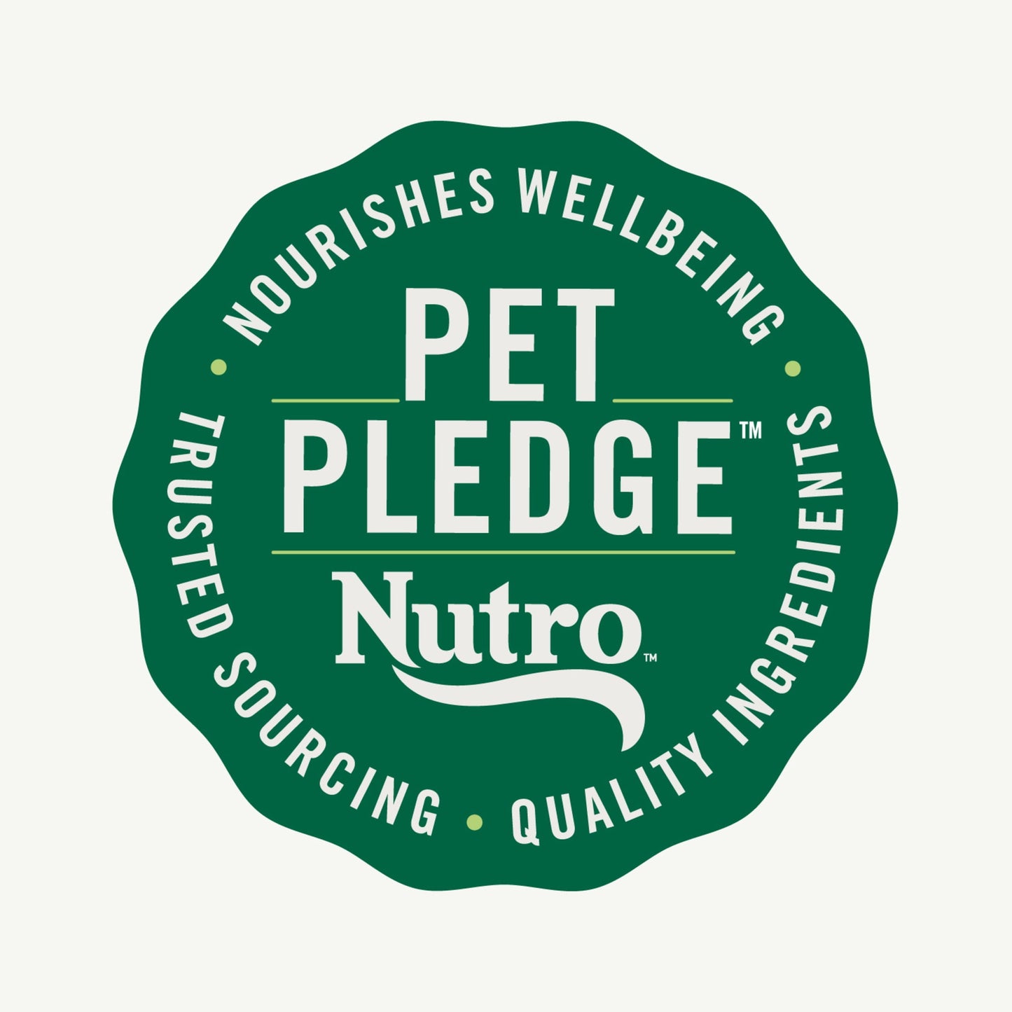 Nutro Natural Choice Adult Dry Dog Food, Lamb And Brown Rice Recipe, 12 Lbs.