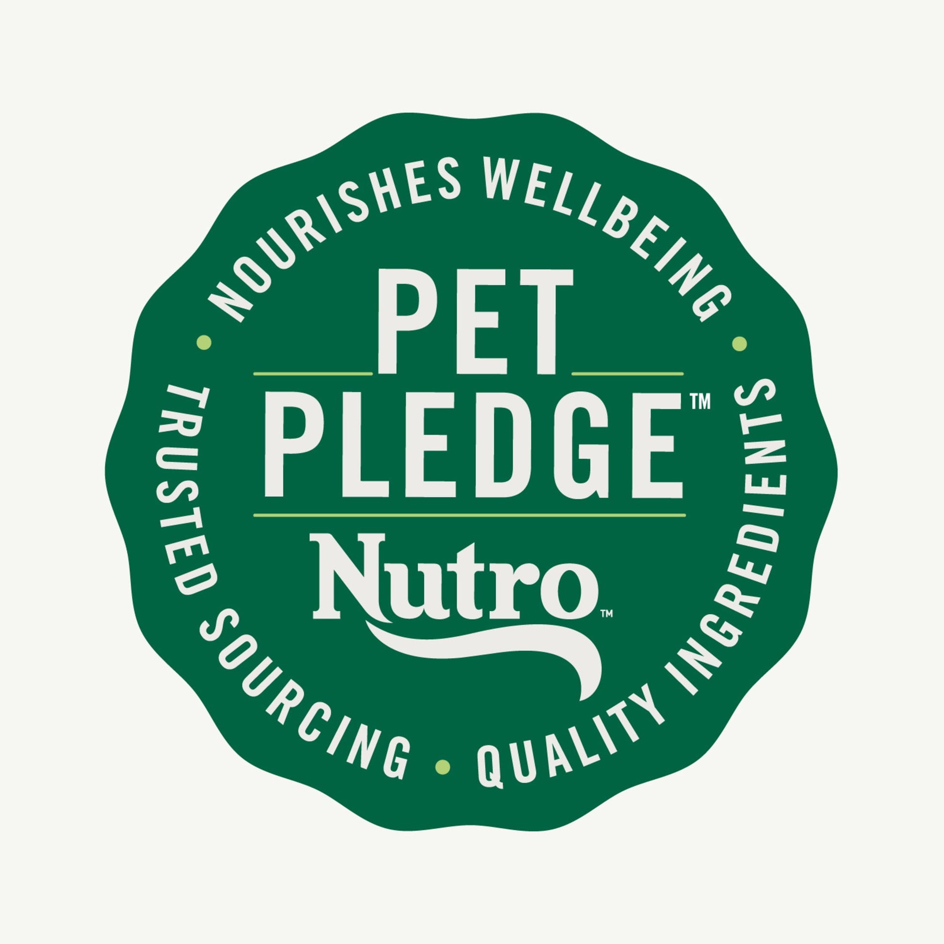 Nutro Natural Choice Adult Dry Dog Food, Lamb And Brown Rice Recipe, 12 Lbs.