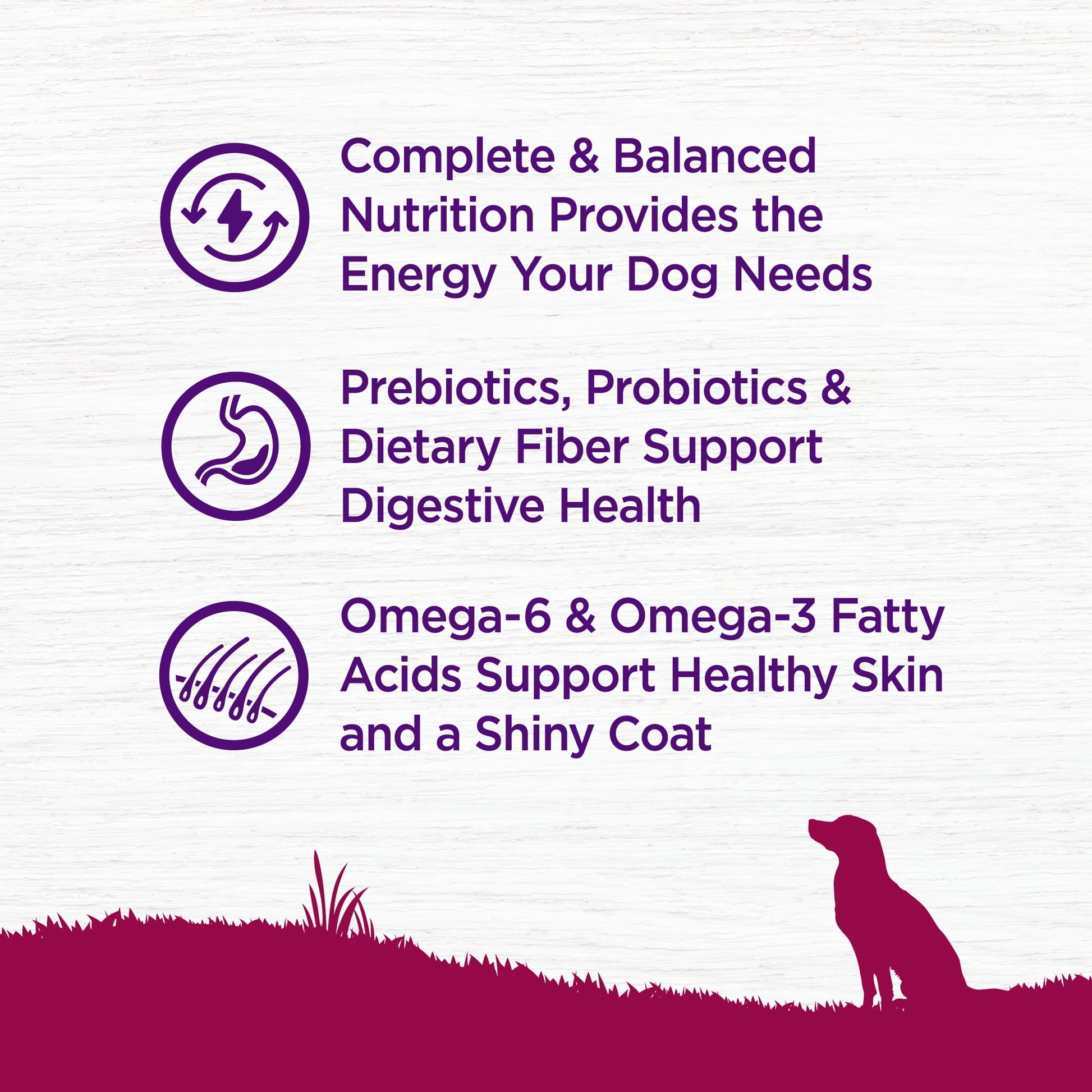 Wellness Complete Health Natural Small Breed Dry Dog Food, Turkey & Oatmeal, 12-Pound Bag