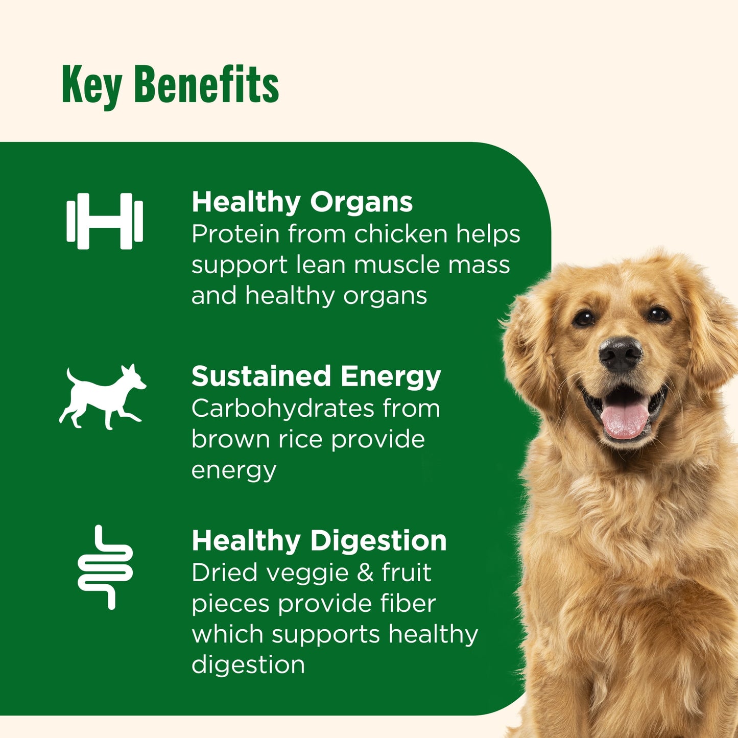Nutrish Dish Chicken & Brown Rice Recipe with Veggie & Fruit Blend Dry Dog Food, 23 lb. Bag (Rachael Ray)