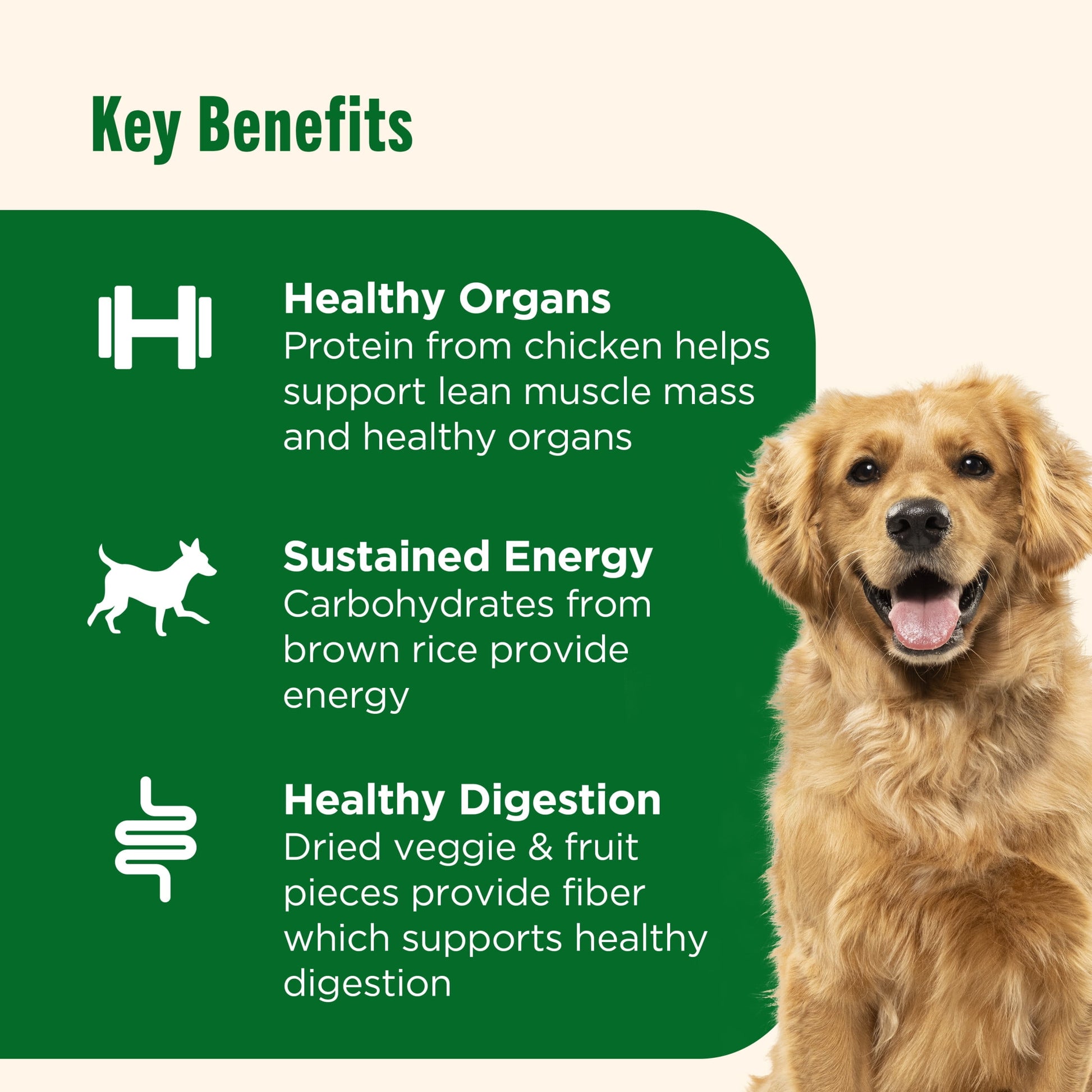 Nutrish Dish Chicken & Brown Rice Recipe with Veggie & Fruit Blend Dry Dog Food, 23 lb. Bag (Rachael Ray)
