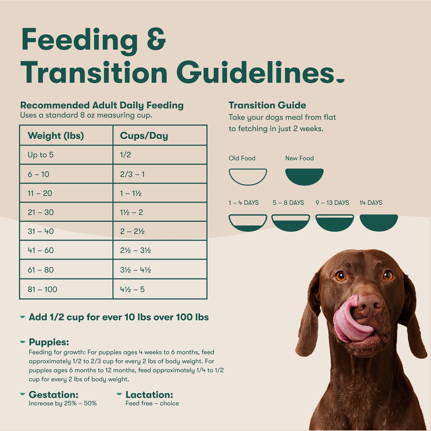 Jinx Lamb, Sweet Potato, & Carrot Dry Dog Food, Grain Free, 4lb. Bag