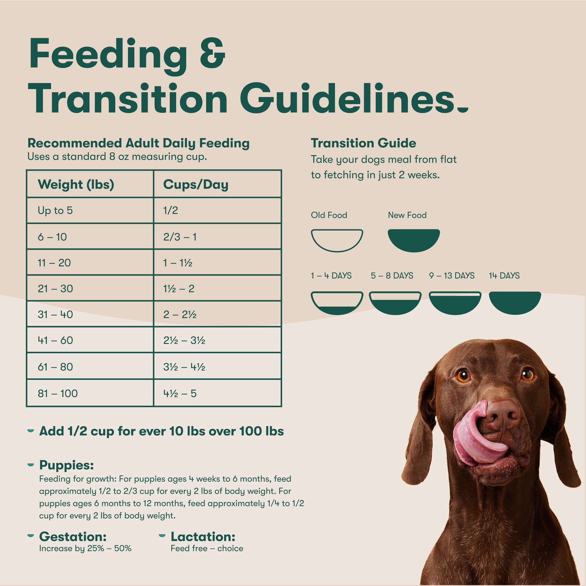 Jinx Lamb, Sweet Potato, & Carrot Dry Dog Food, Grain Free, 4lb. Bag