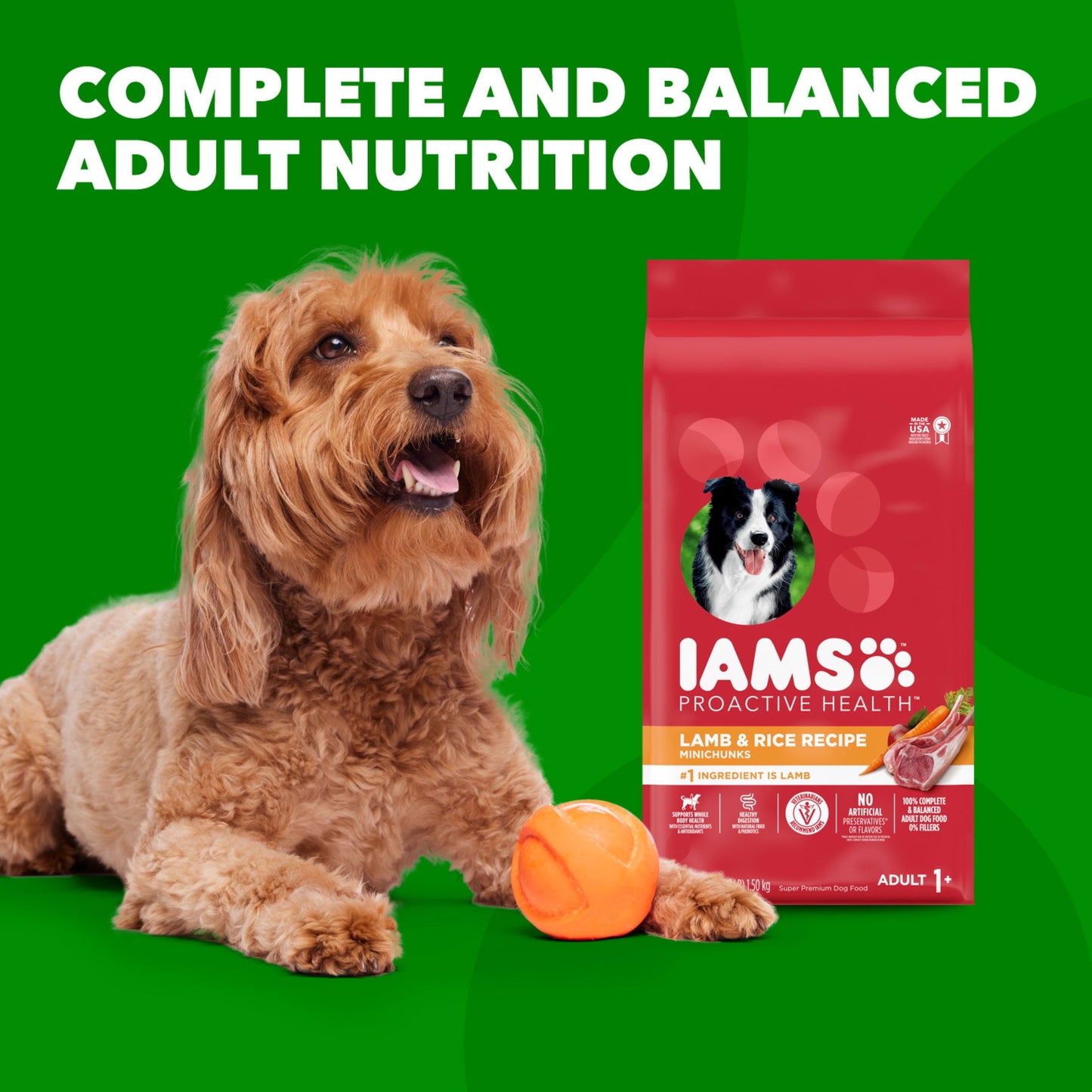 Iams Proactive Health Minichunks Dry Dog Food With Real Lamb & Rice, 7 Lb. Bag