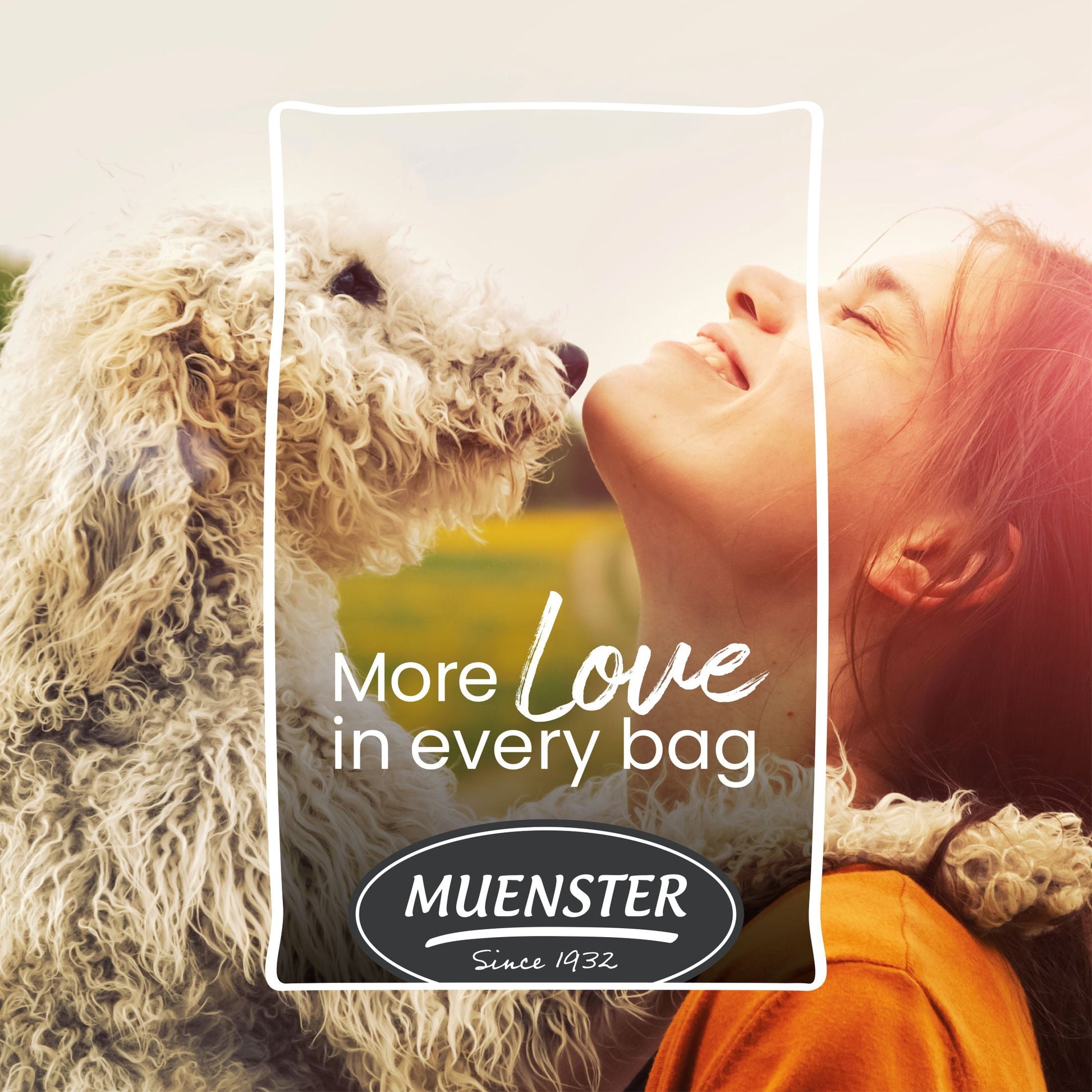 Muenster Ancient Grains With Ocean Fish Dog Food, All Life Stages, 4 lb Bag