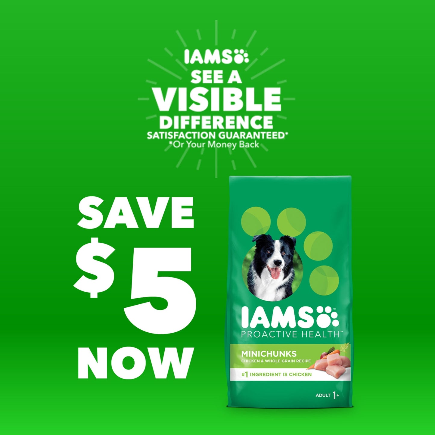 Iams Proactive Health Minichunks Dry Dog Food With Real Lamb & Rice, 7 Lb. Bag