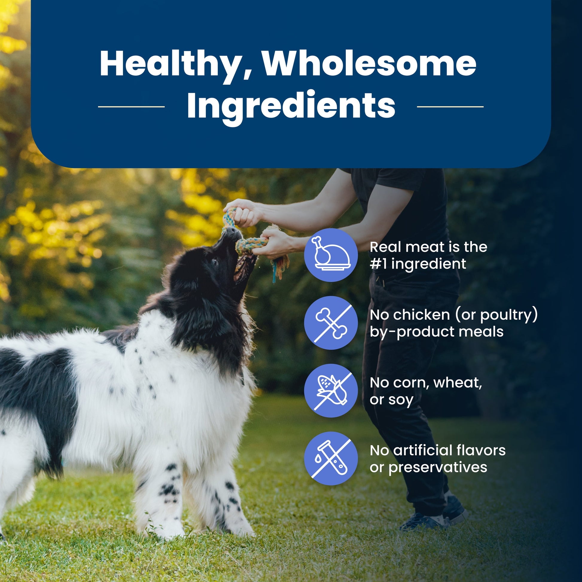 Blue Buffalo Life Protection Formula Weight Control Large Breed Dog Food, Chicken, 34lbs.