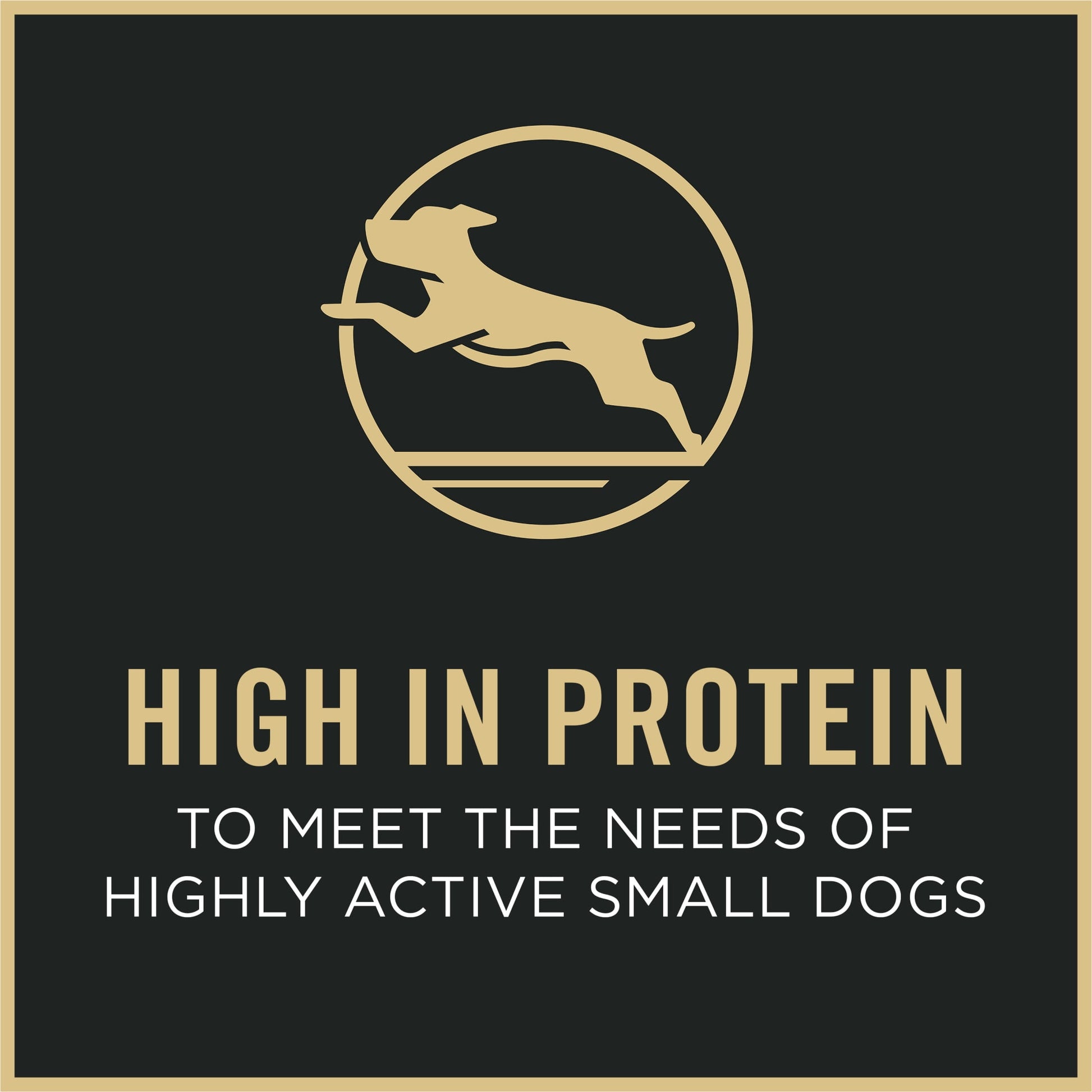 Purina Pro Plan High Protein Small Breed Dog Food, Chicken & Rice Formula, 6 lb. Bag