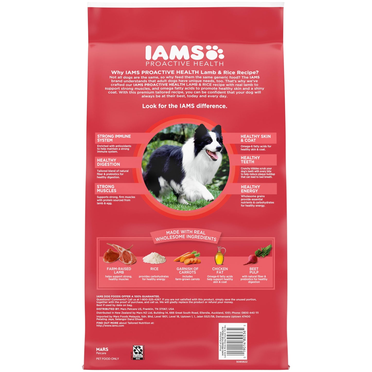 Iams Proactive Health Minichunks Dry Dog Food With Real Lamb & Rice, 7 Lb. Bag