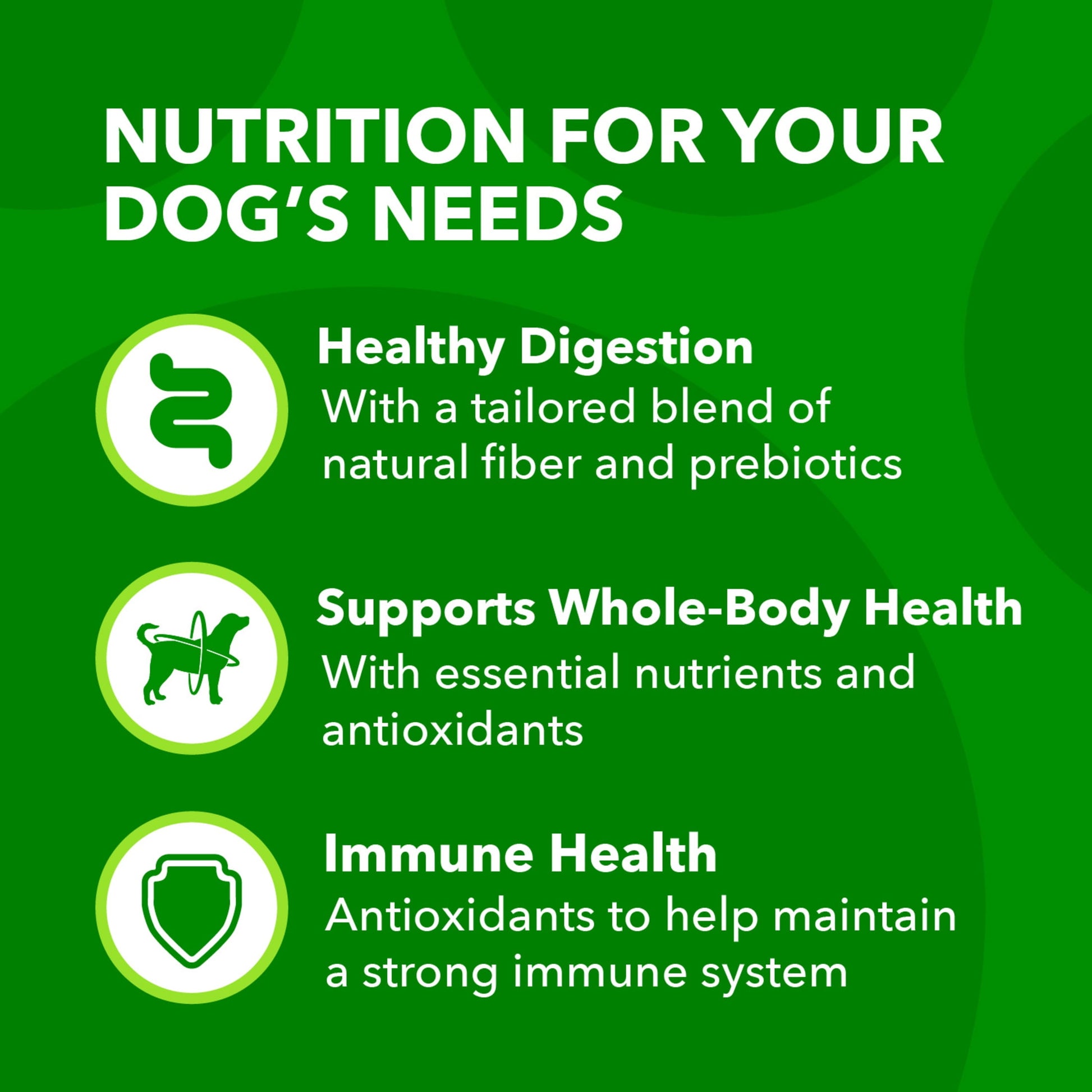 Iams Proactive Health Minichunks Dry Dog Food With Real Lamb & Rice, 7 Lb. Bag