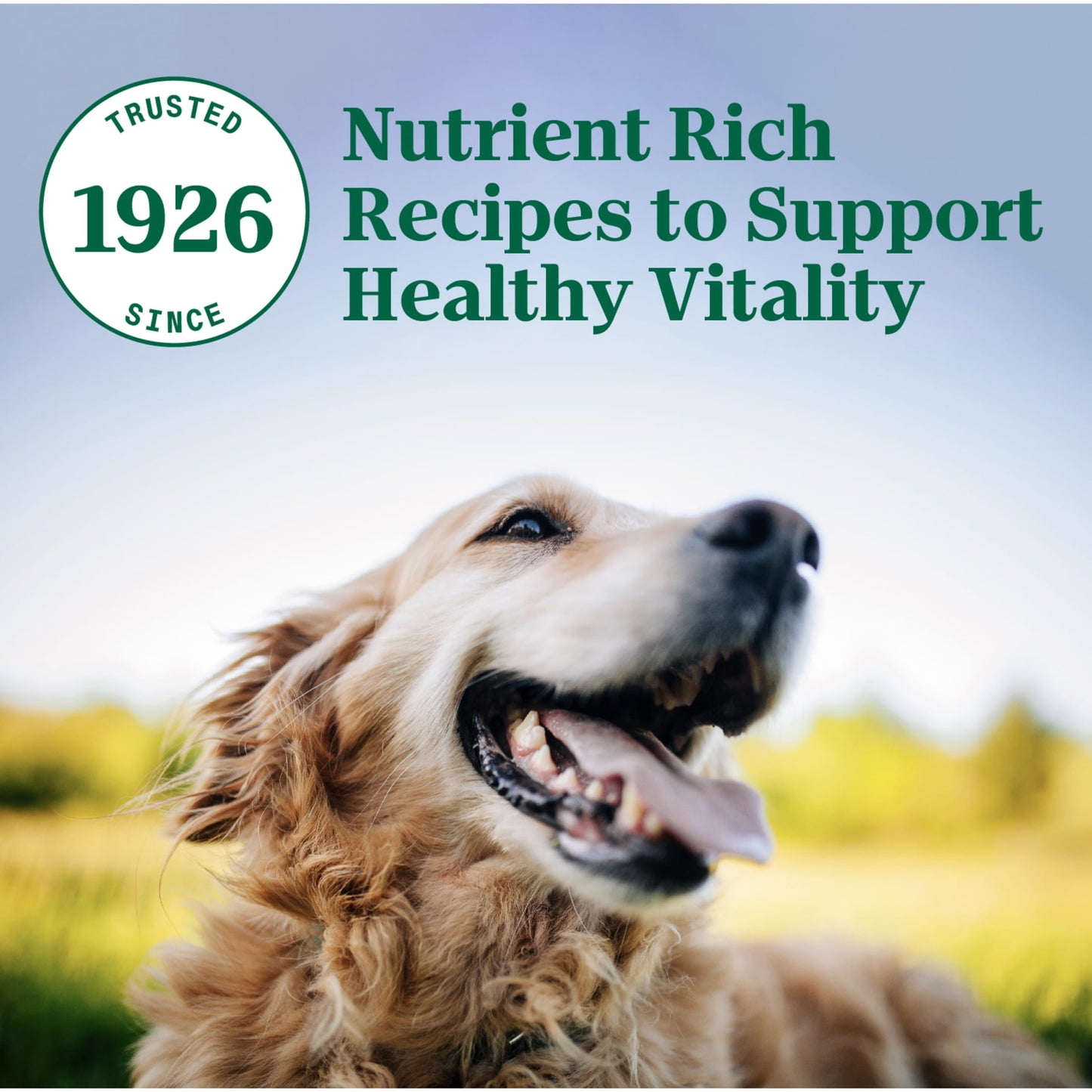 Nutro Natural Choice Senior Dry Dog Food, Chicken and Brown Rice Recipe, 30 lbs