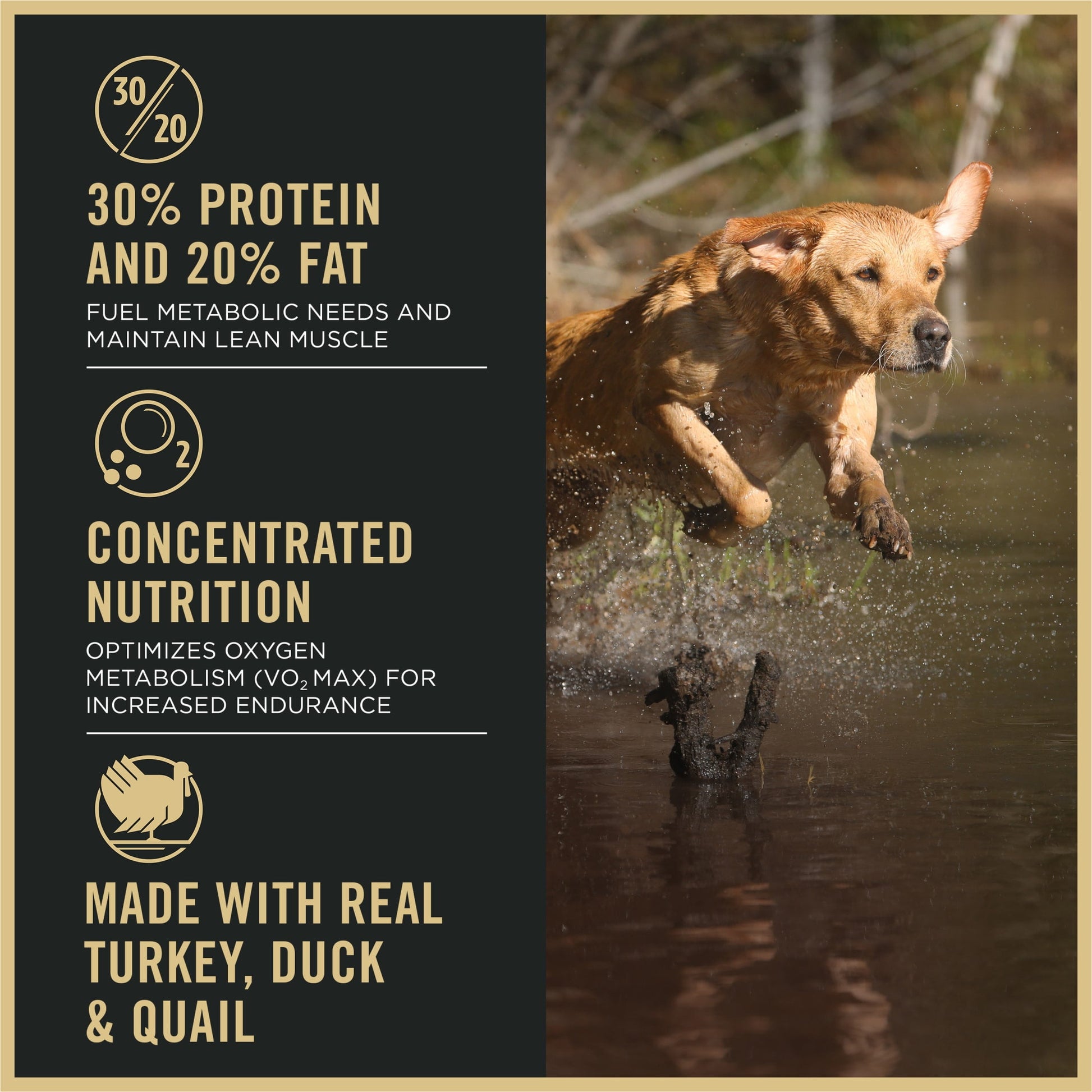 Purina Pro Plan Sport Performance 30/20 High Protein Dry Dog Food, Turkey, Duck, Quail Recipe