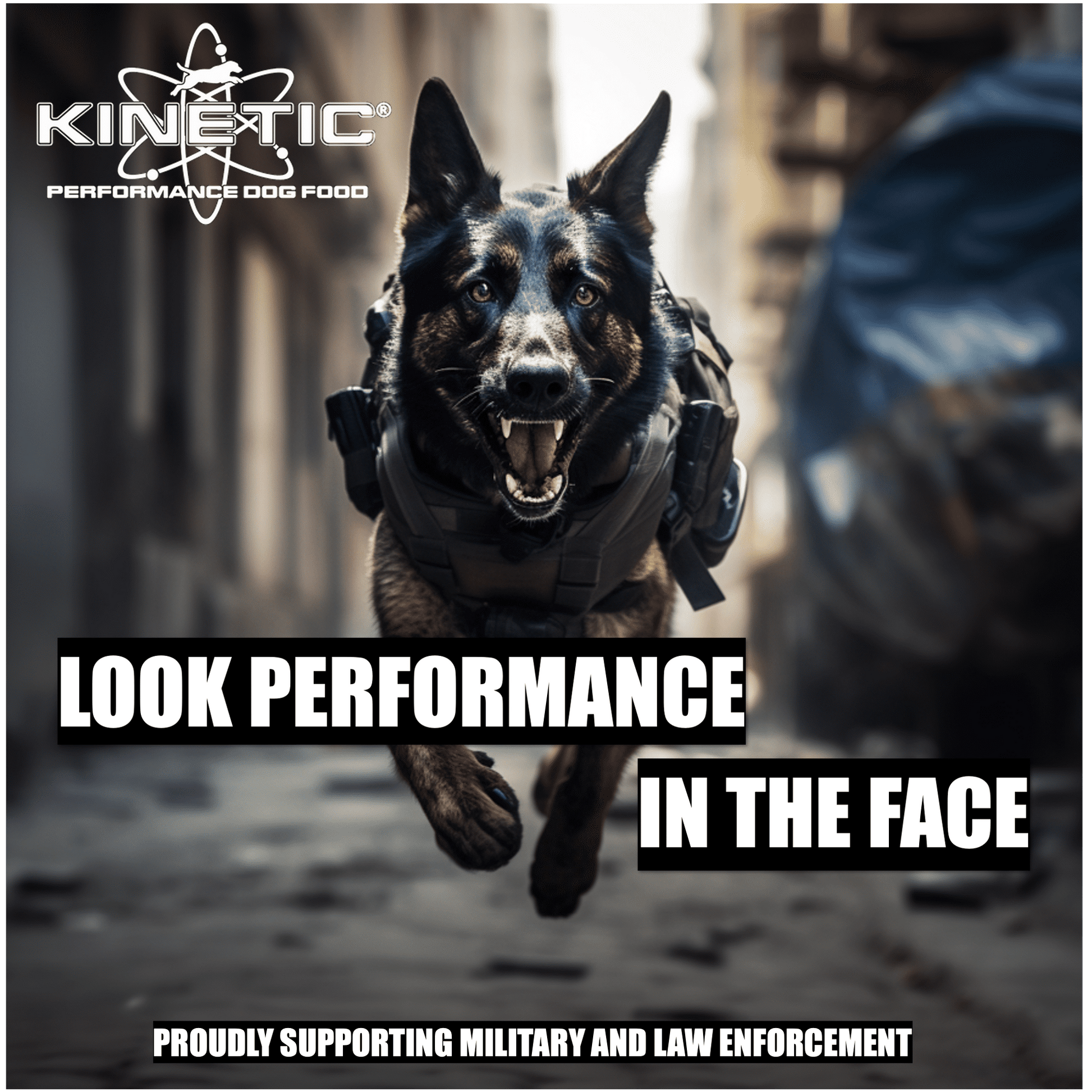 43901-Power 30K Kinetic Dog food 35 lb.