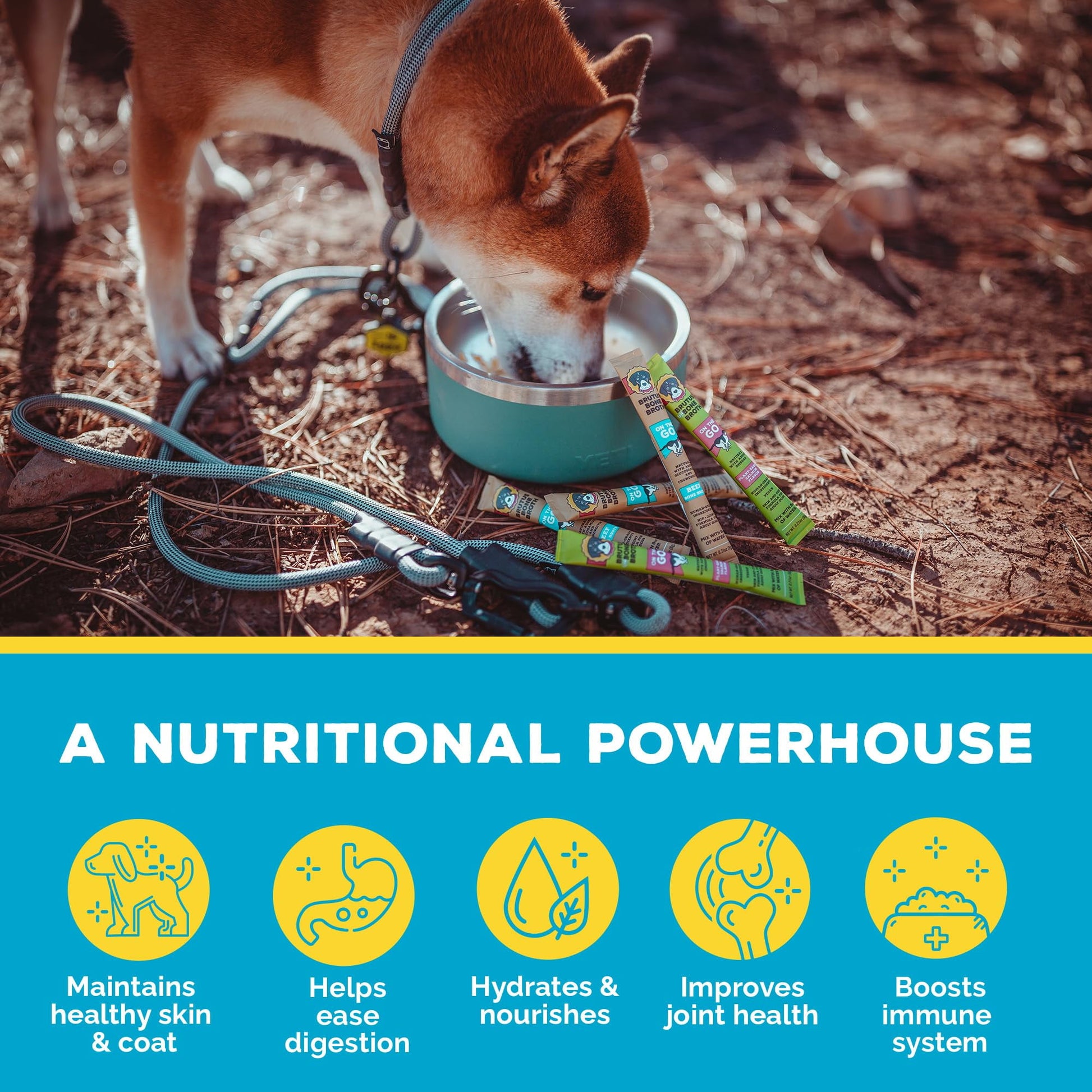Brutus Broth Instant On The Go Powder for Dogs with Chondroitin Glucosamine & Turmeric - Pet Food Topper - Human Grade Dog Food Toppers for Dry Food & Picky Eaters - 5 Stick (Beef)