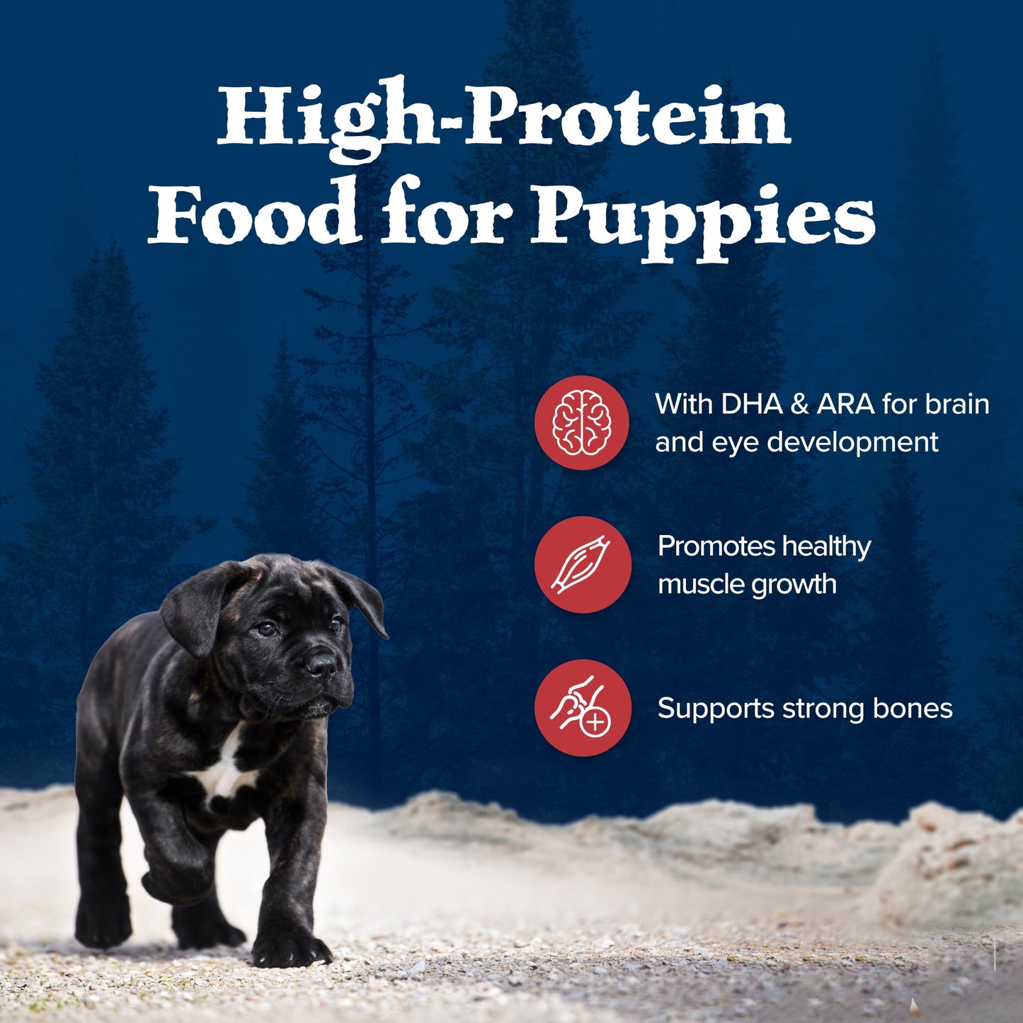 Blue Buffalo Wilderness Natural Dry Puppy Food, Red Meat & Whole Grains, 4.5-lb