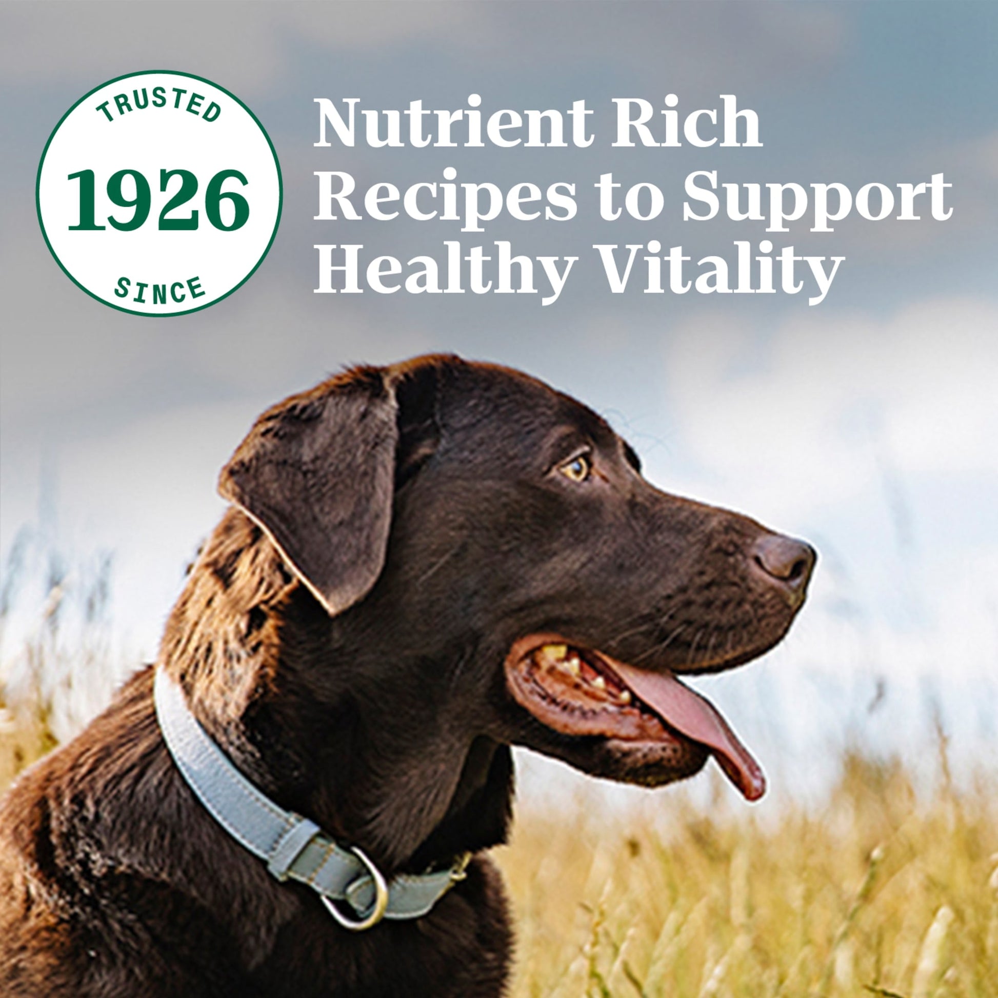 Nutro Natural Choice Adult Dry Dog Food, Lamb And Brown Rice Recipe, 36 Lbs.