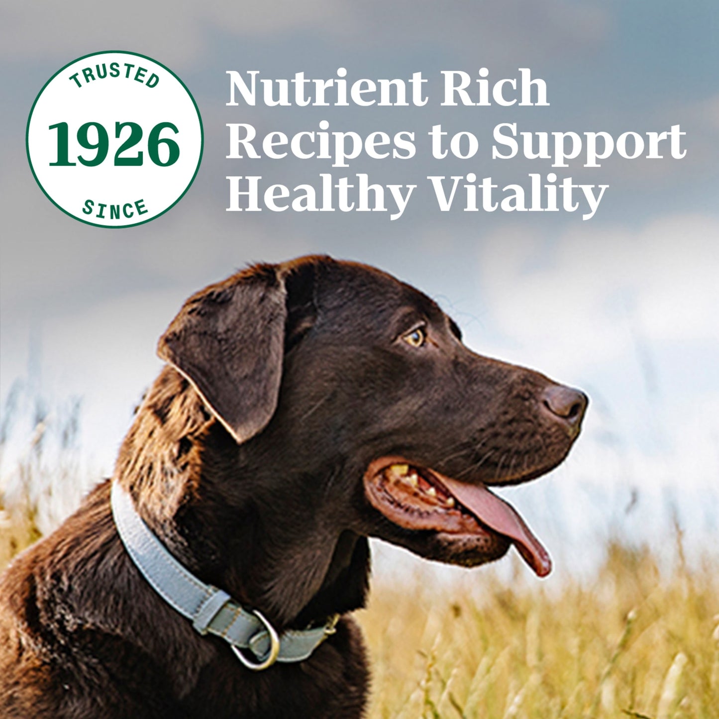 Nutro Natural Choice Large Breed Healthy Weight Dry Dog Food Chicken & Brown Rice, 30 Lbs.