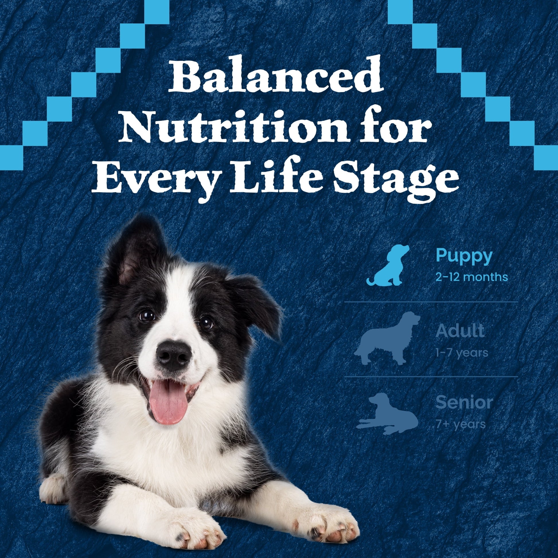 Blue Buffalo Wilderness Natural Dry Puppy Food, Red Meat & Whole Grains, 4.5-lb