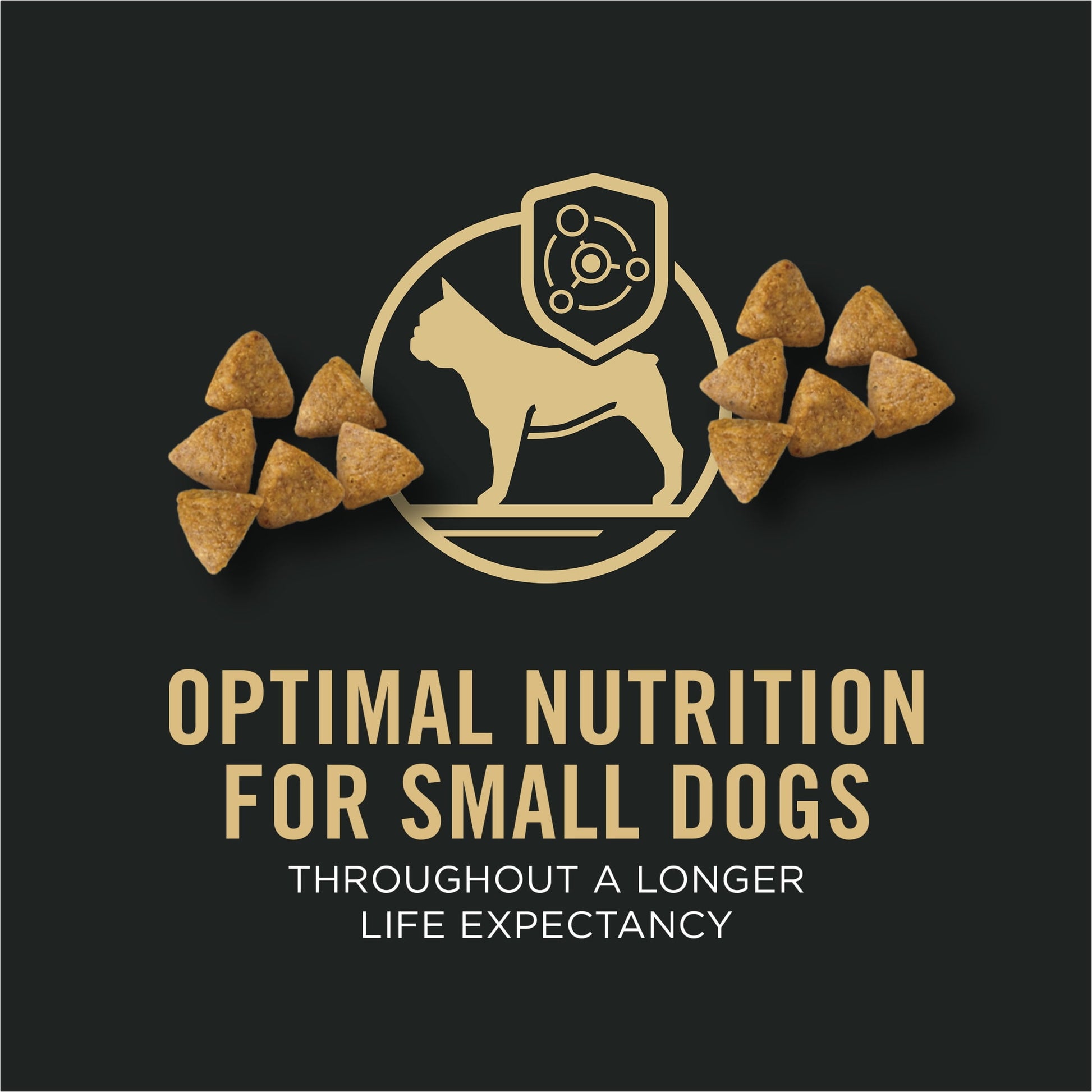 Purina Pro Plan High Protein Small Breed Dog Food, Chicken & Rice Formula, 6 lb. Bag