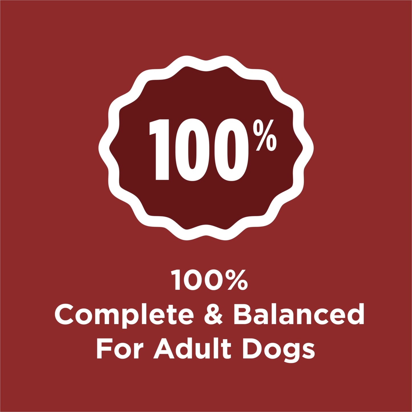 Purina Dog Chow Complete Adult Dry Dog Food Kibble Beef Flavor - 18.5 lb. Bag (Pack of 20)