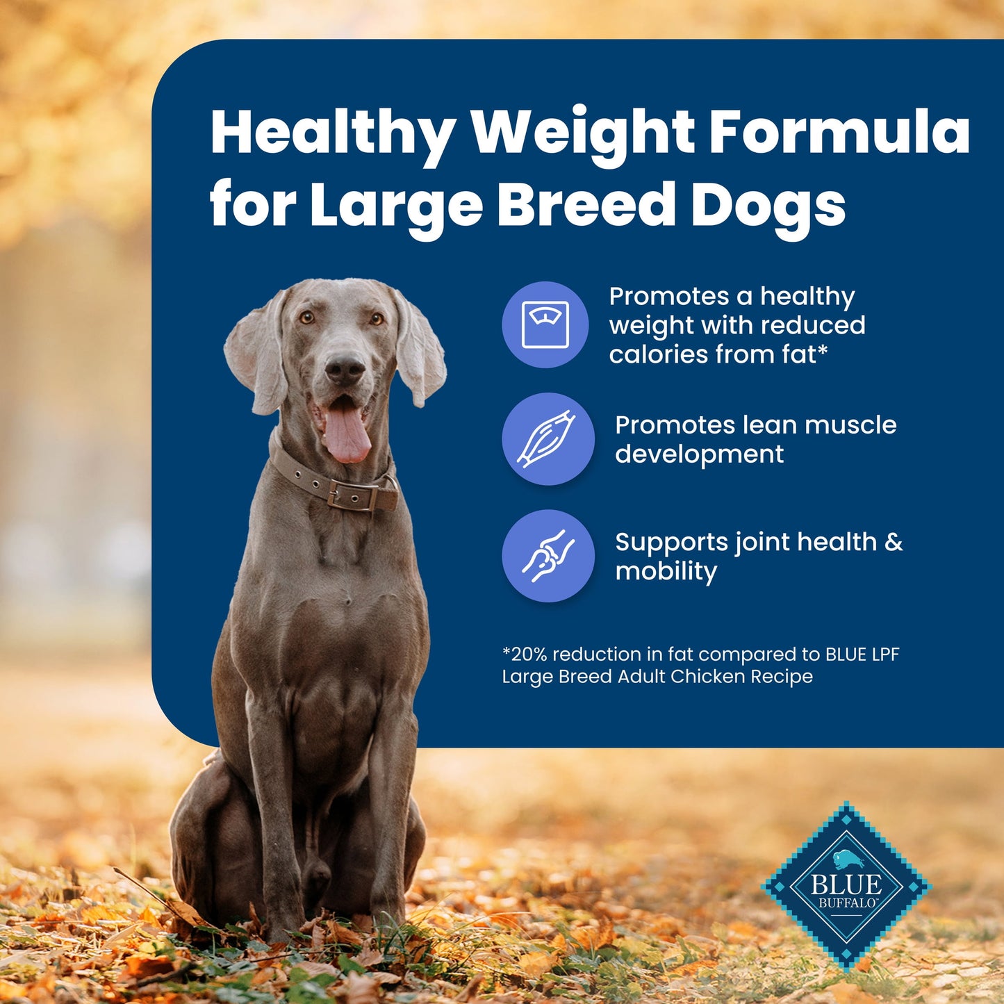 Blue Buffalo Life Protection Formula Weight Control Large Breed Dog Food, Chicken, 34lbs.