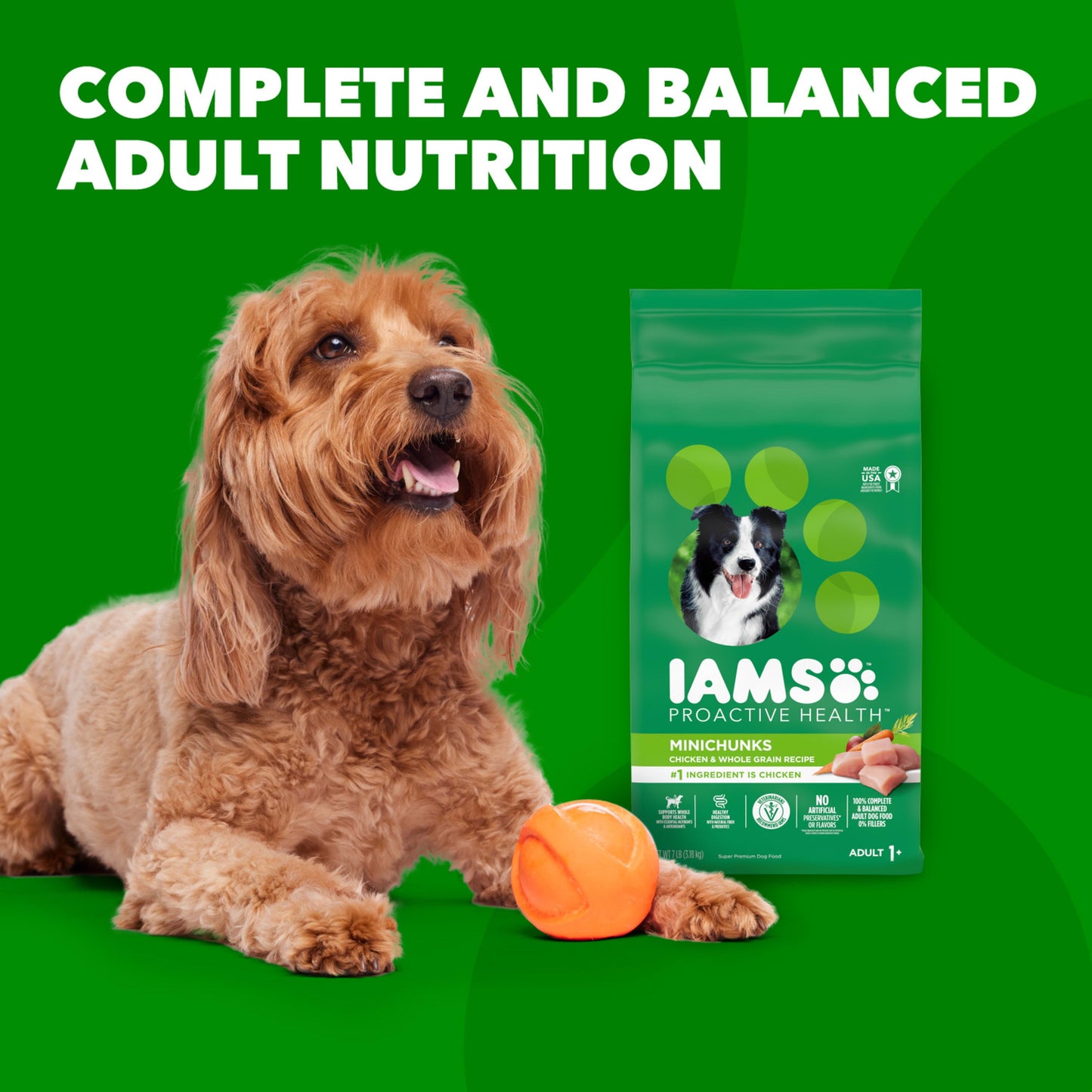 Iams Proactive Health Minichunks Adult Small Kibble Dry Dog Food With Real Chicken, 44 Lb. Bag