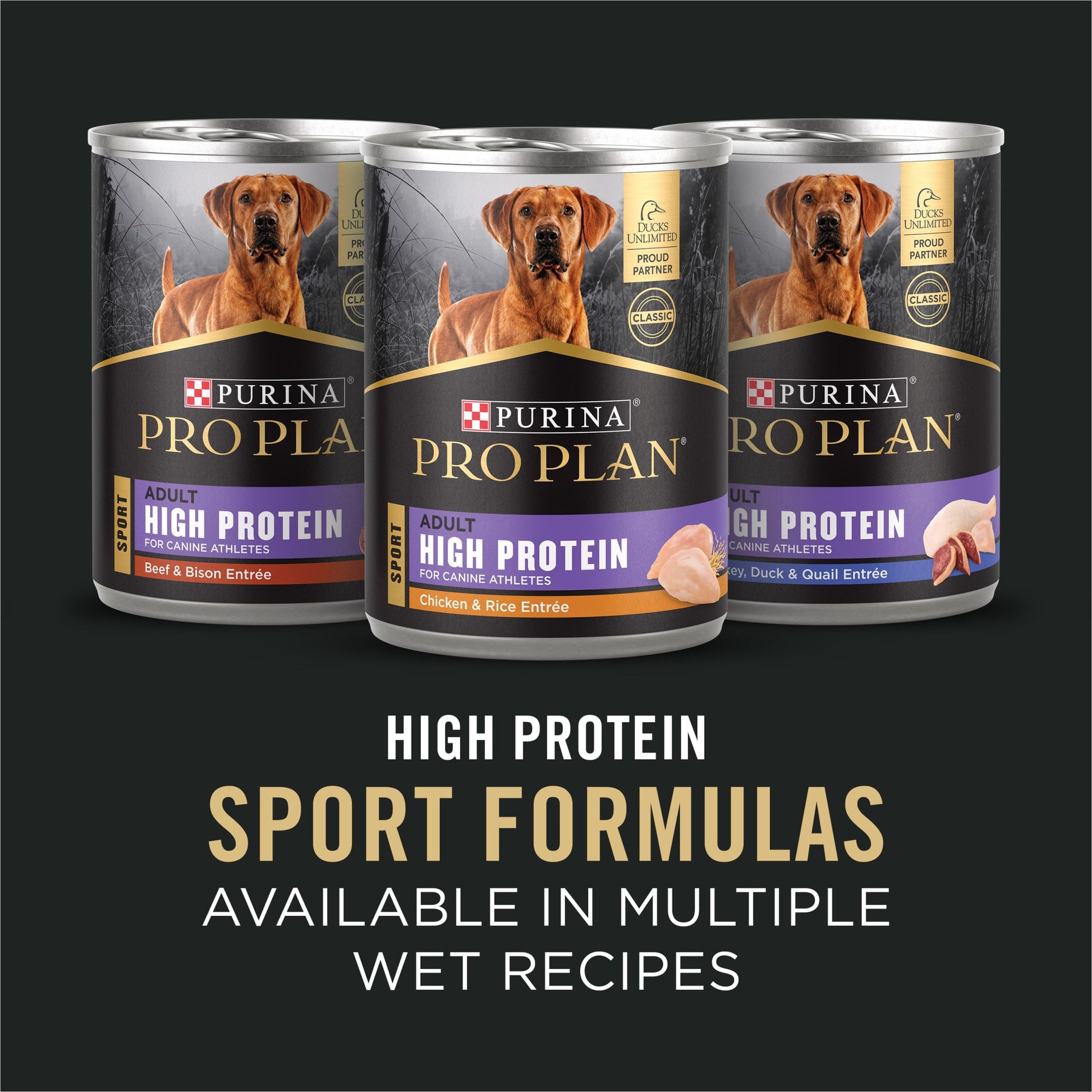 Purina Pro Plan Sport Adult 7 Plus Performance 30/17 Chicken and Rice High Protein Dog Food Dry Formula, 24 lb Bag