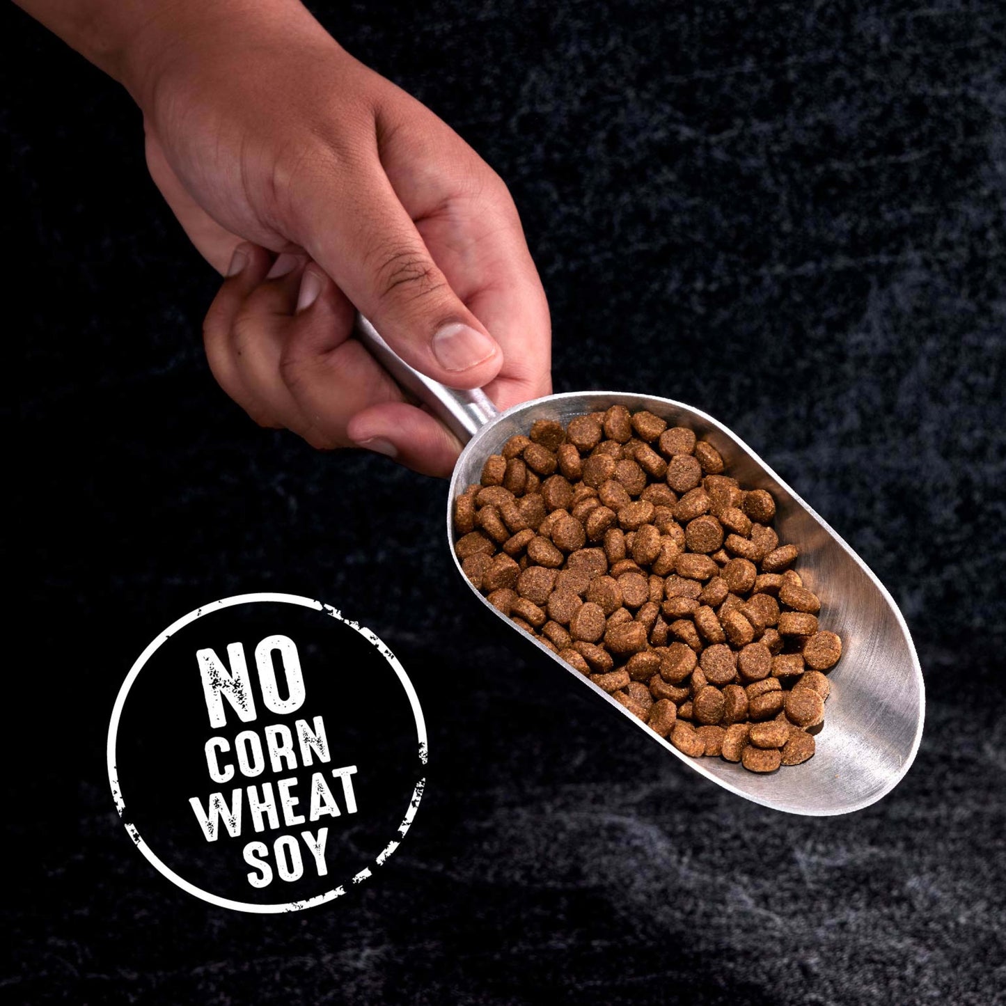 CRAVE Grain Free Adult Dry Dog Food with Protein from White Fish & Salmon, 4 lb. Bag