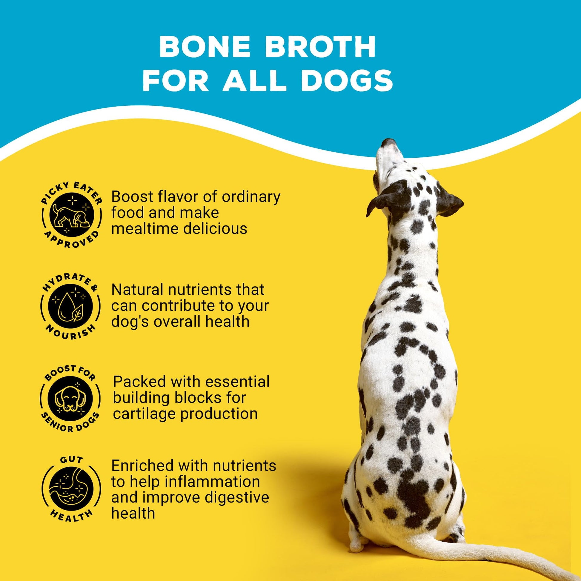 Brutus Broth Instant On The Go Powder for Dogs with Chondroitin Glucosamine & Turmeric - Pet Food Topper - Human Grade Dog Food Toppers for Dry Food & Picky Eaters - 5 Stick (Beef)