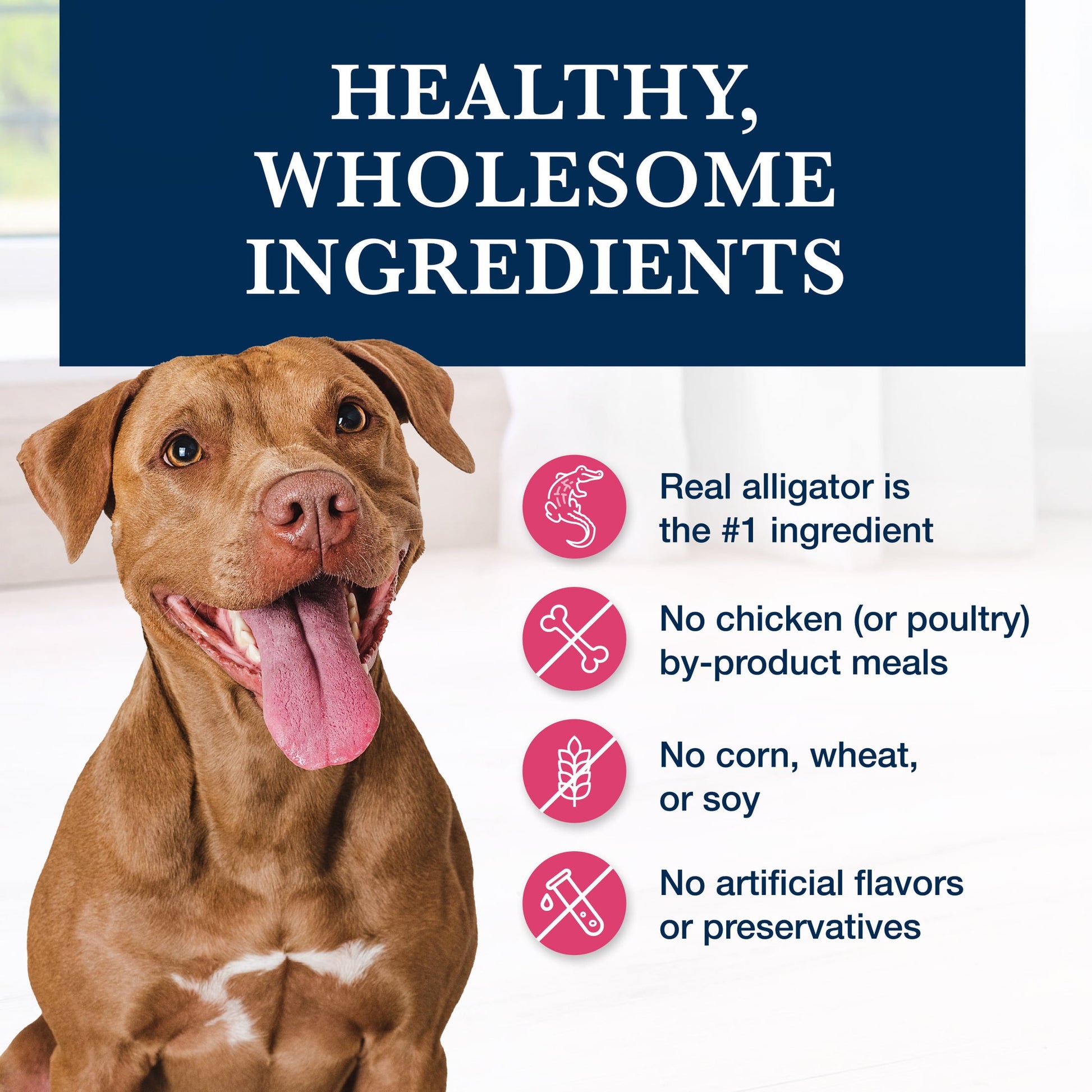 Blue Buffalo Natural Veterinary Diet NP Novel Protein Dry Dog Food, Alligator, 22-lb. Bag