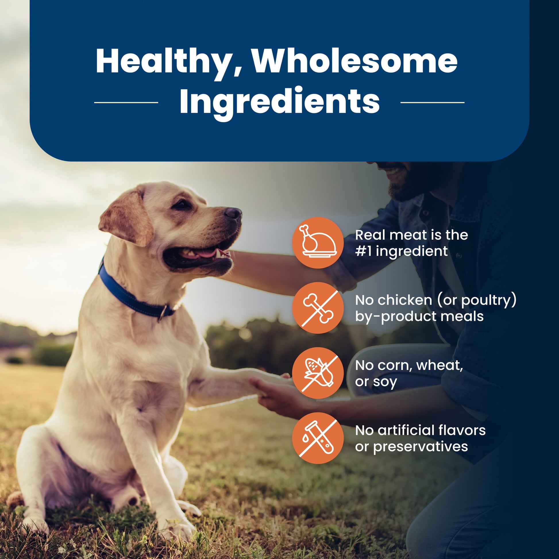 Blue Buffalo Life Protection Formula Large Breed Senior Dog Food, Chicken & Rice, 30 lbs.