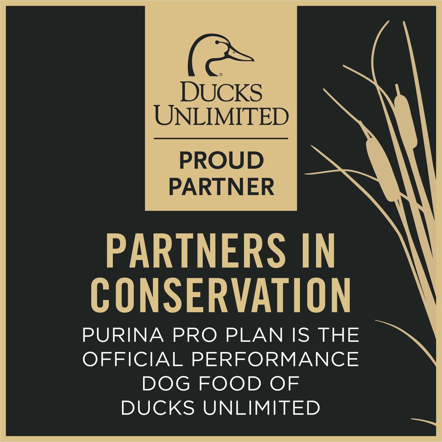 Purina Pro Plan Sport Performance 30/20 High Protein Dry Dog Food, Turkey, Duck, Quail Recipe