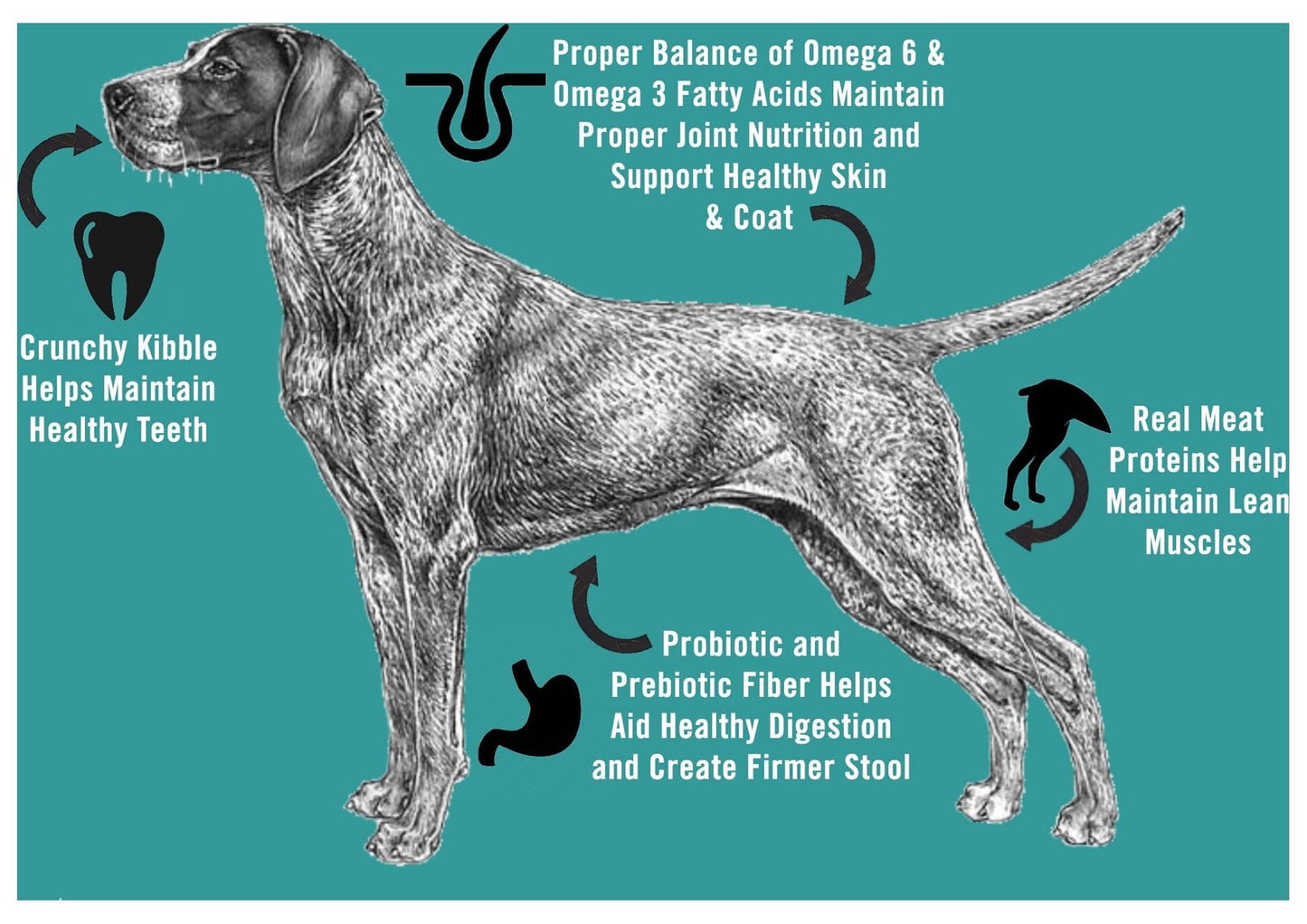 Chicken Soup for the Soul Small Bites Adult Dog Dry Food - Chicken, Turkey & Brown Rice, 28 lb. Bag